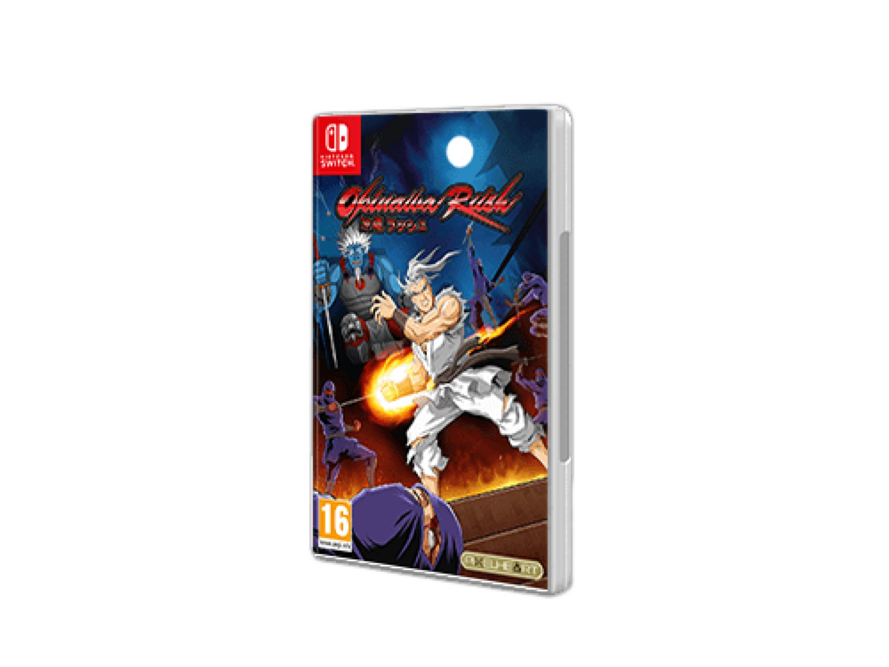 Copertina gioco Nintendo Switch con personaggi combattenti e 