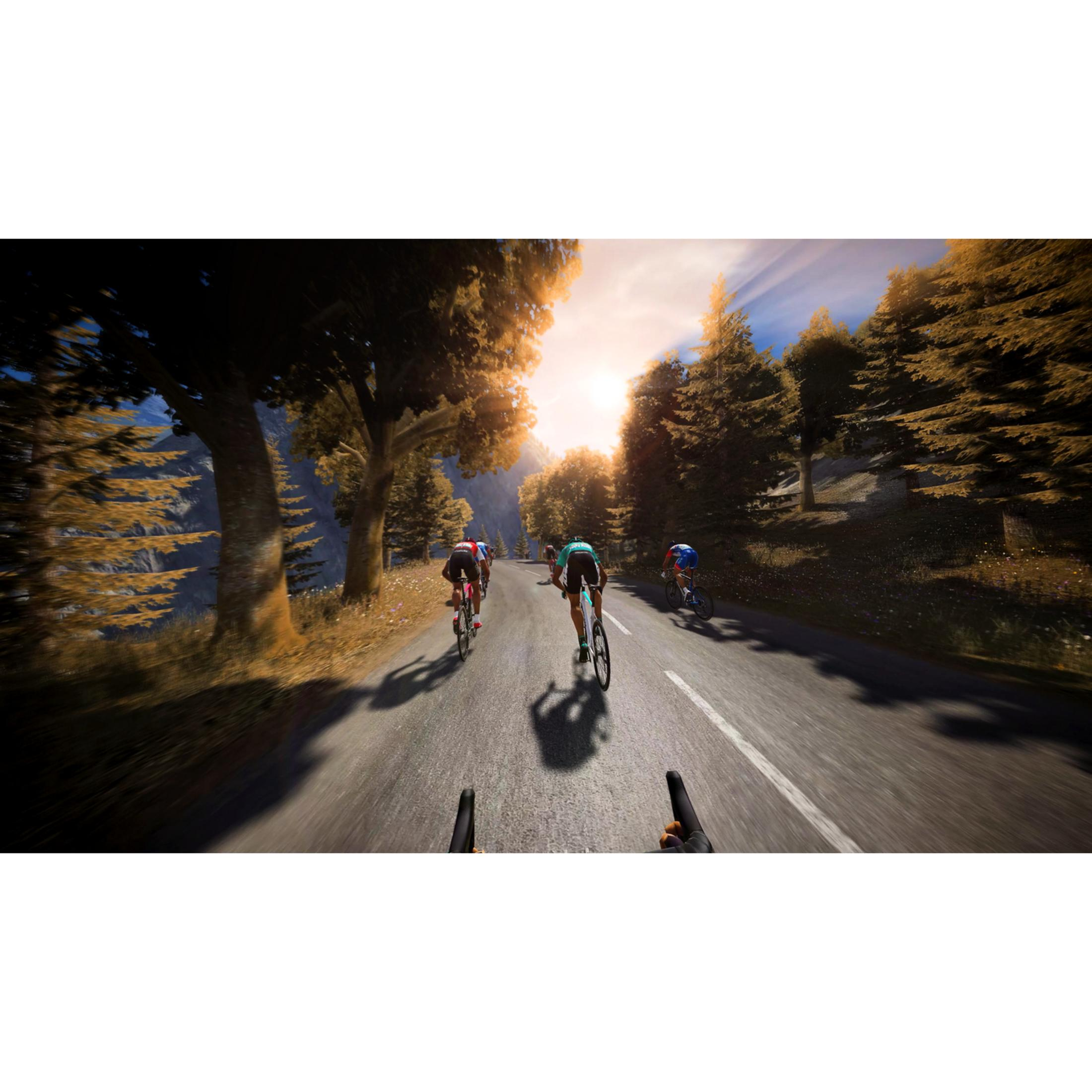 Ciclistas en una carretera de montaña al atardecer con árboles.