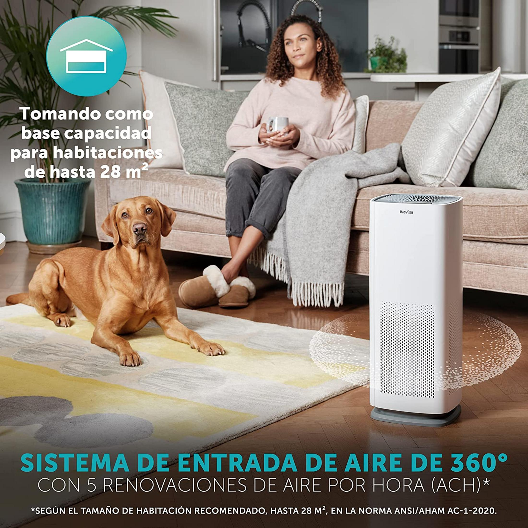 Un cane giace su un tappeto mentre una donna siede su un divano accanto a un purificatore d'aria.