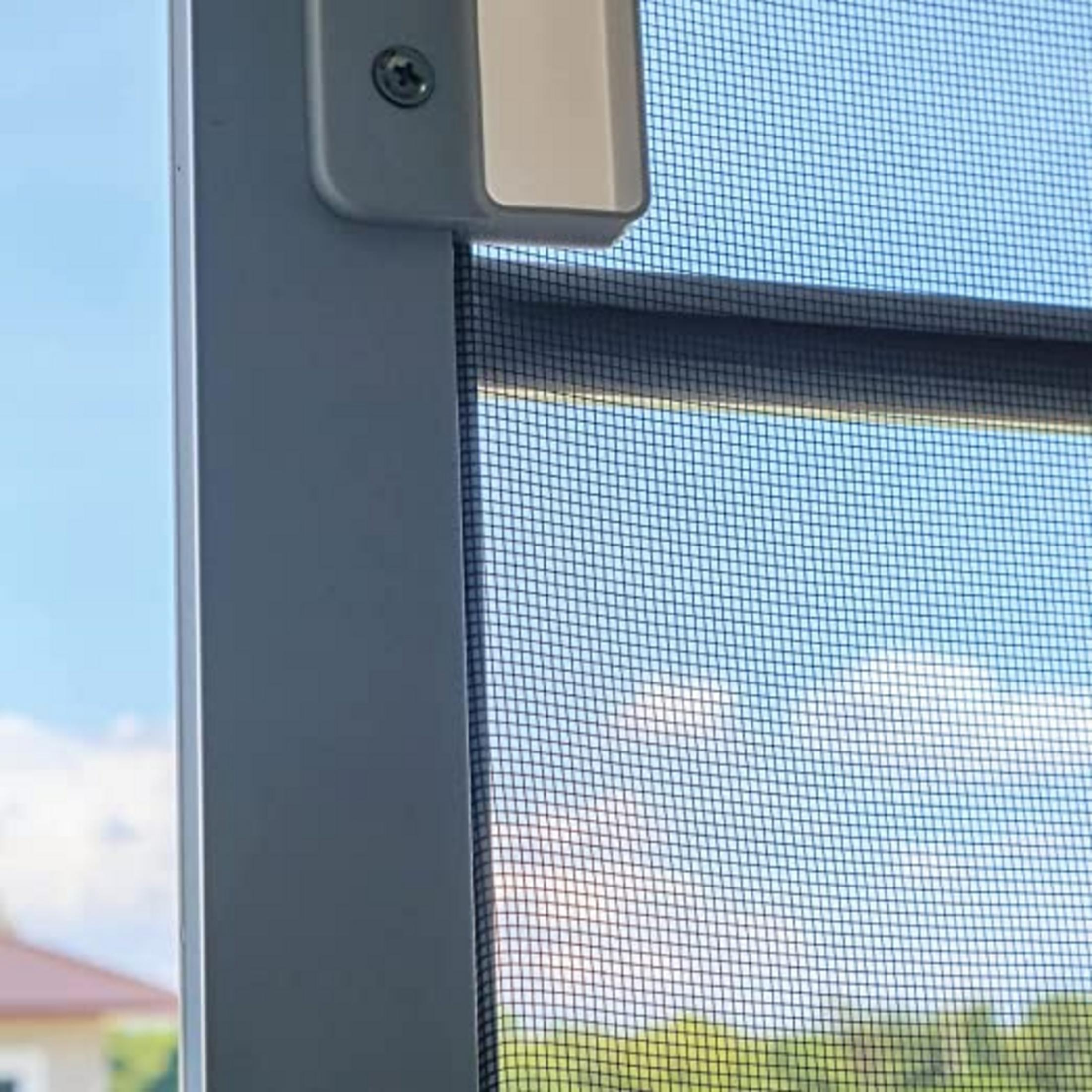 Marco de ventana con mosquitera contra cielo azul y árboles verdes.