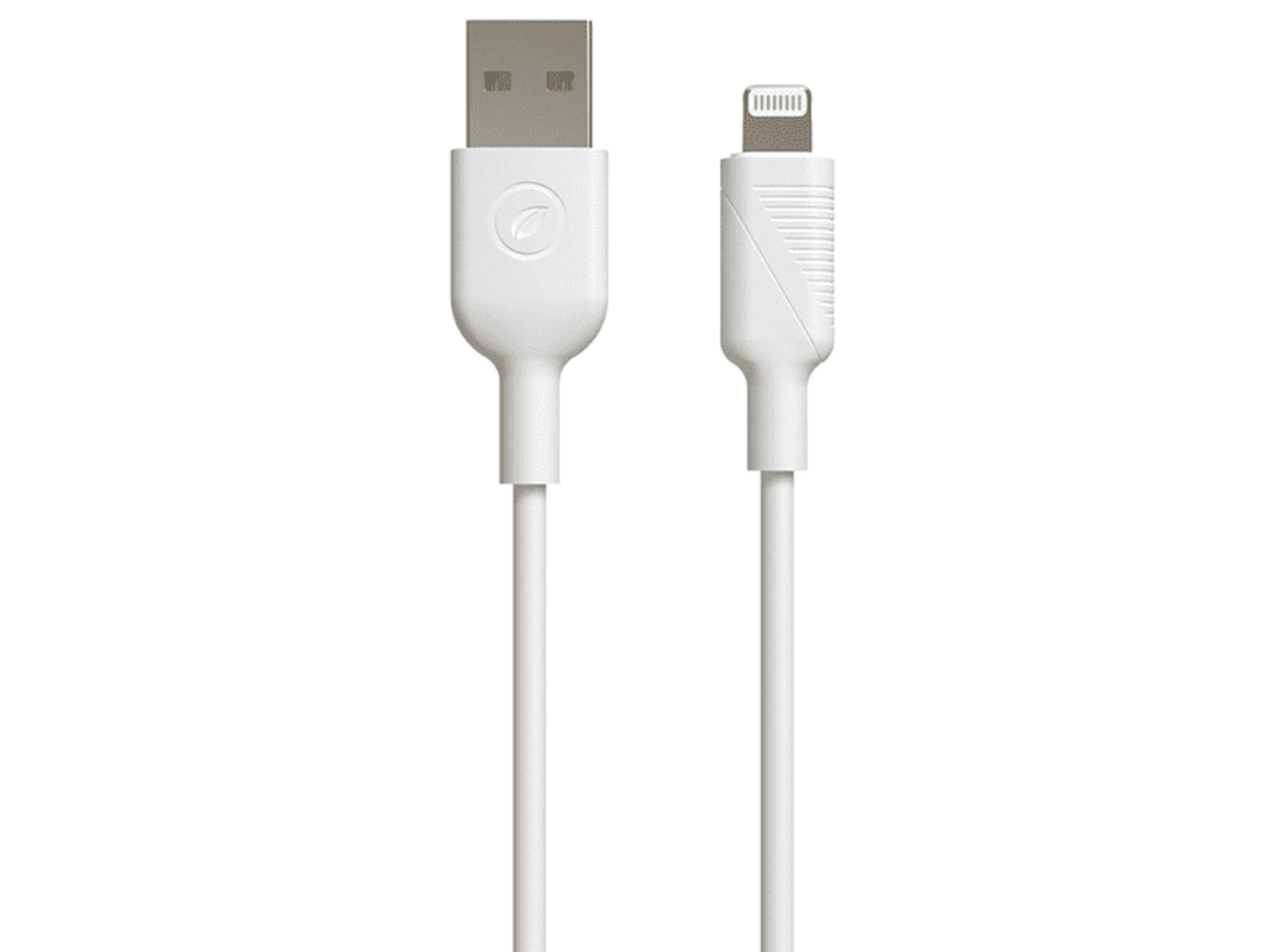 Un cavo USB-A a Lightning bianco con due connettori su sfondo bianco.