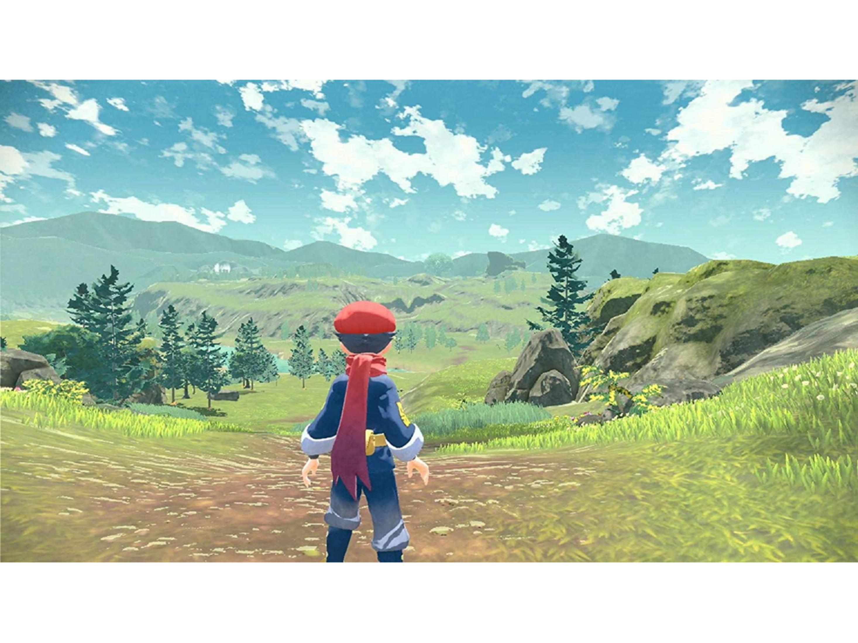 Un personaggio in blu e rosso si trova su un sentiero che guarda un vasto paesaggio verde.