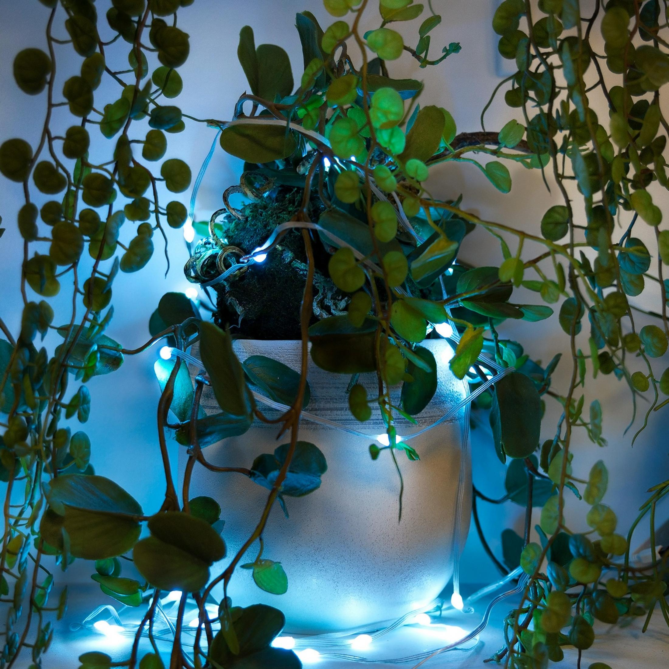 Una planta verde en maceta con luces de cadena azules a su alrededor.