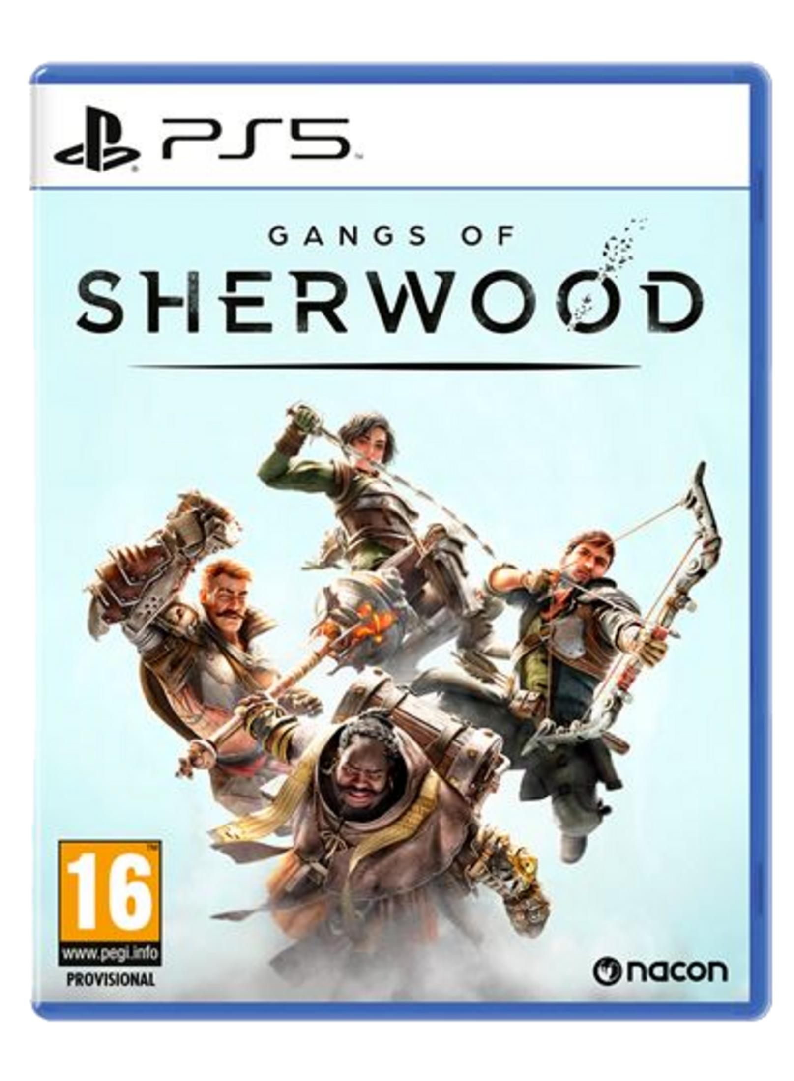 La copertina mostra quattro personaggi fantasy con armi su uno sfondo azzurro.