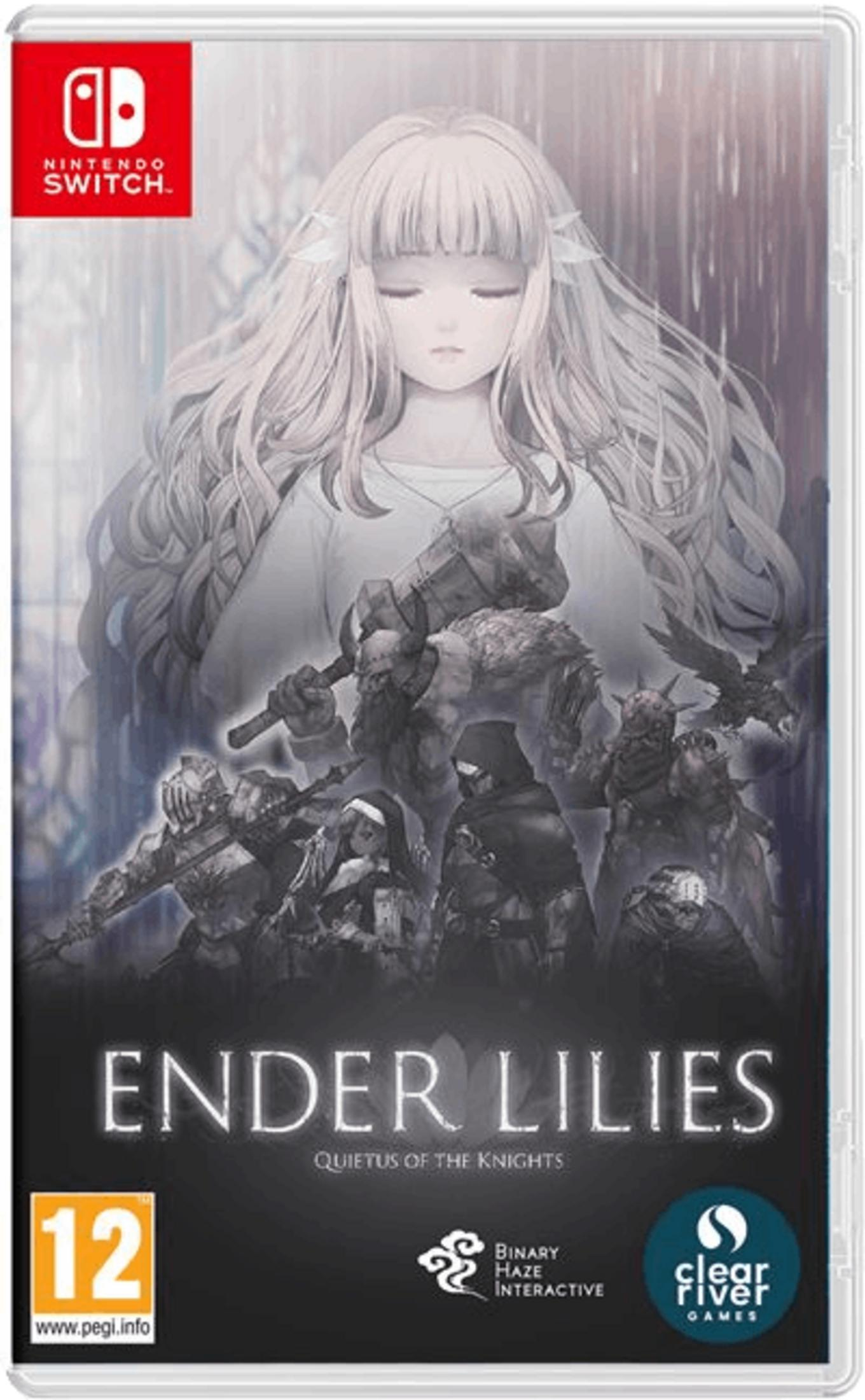Copertina gioco Nintendo Switch: Ragazza con spada e cavalieri.
