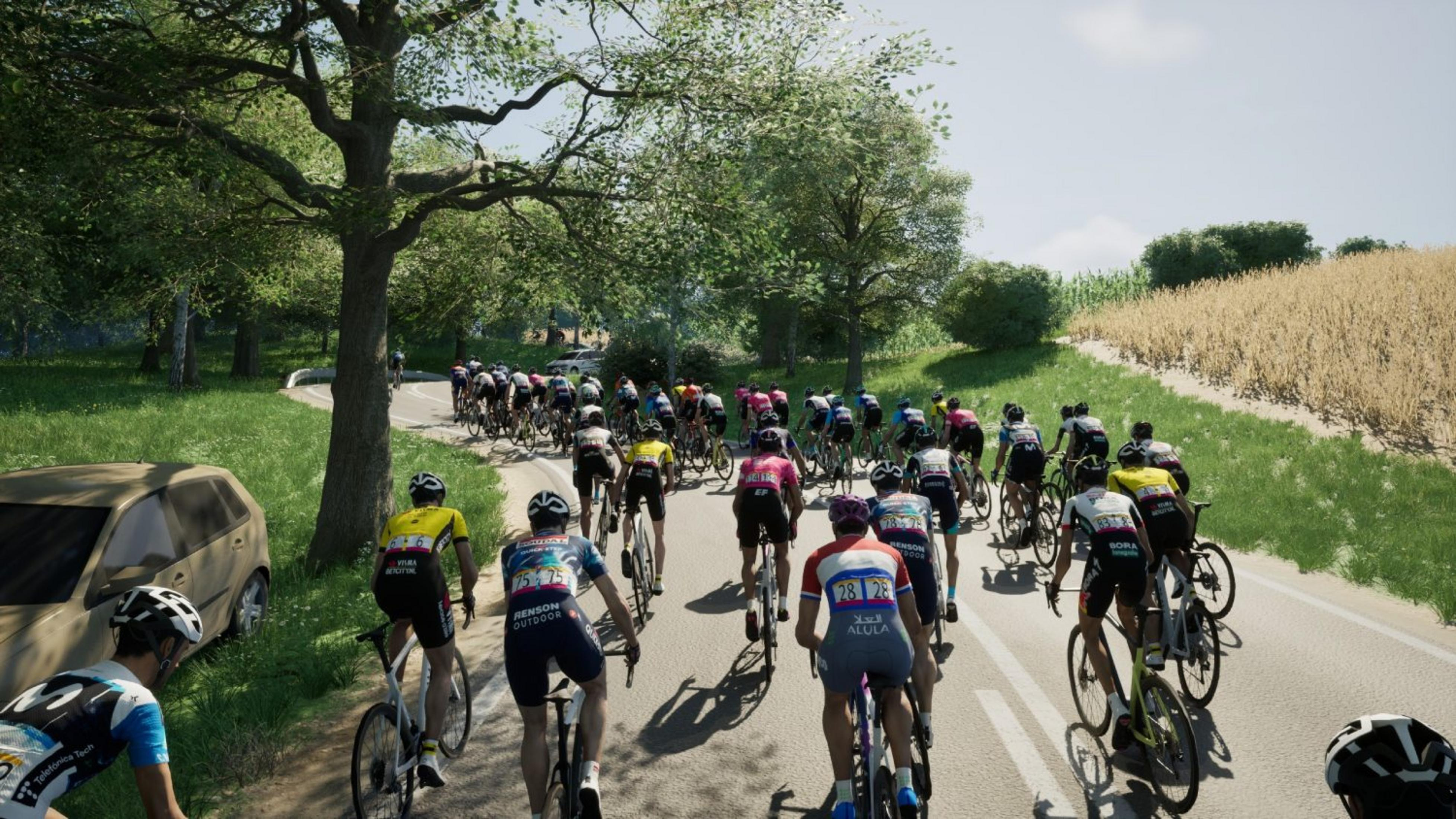 Ciclisti gareggiano su una strada tra alberi e campi.