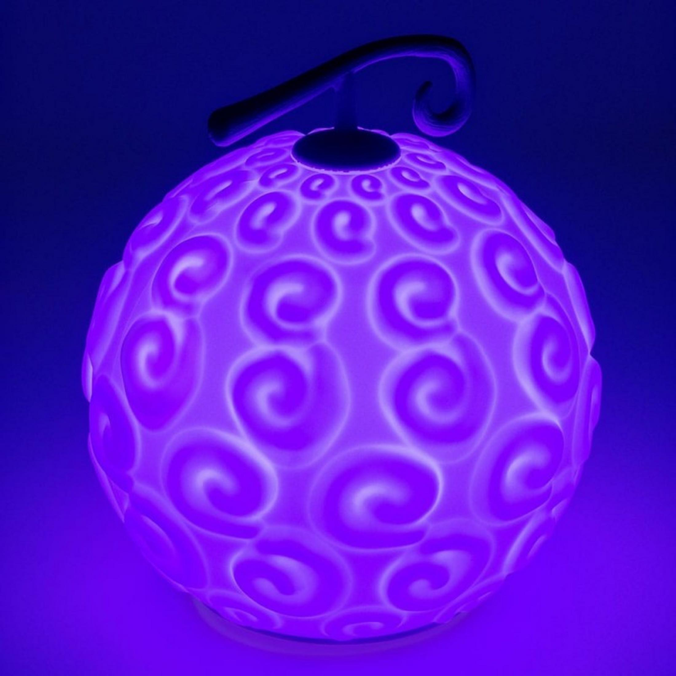 Un fruit violet lumineux avec des motifs en spirale et une tige sombre.