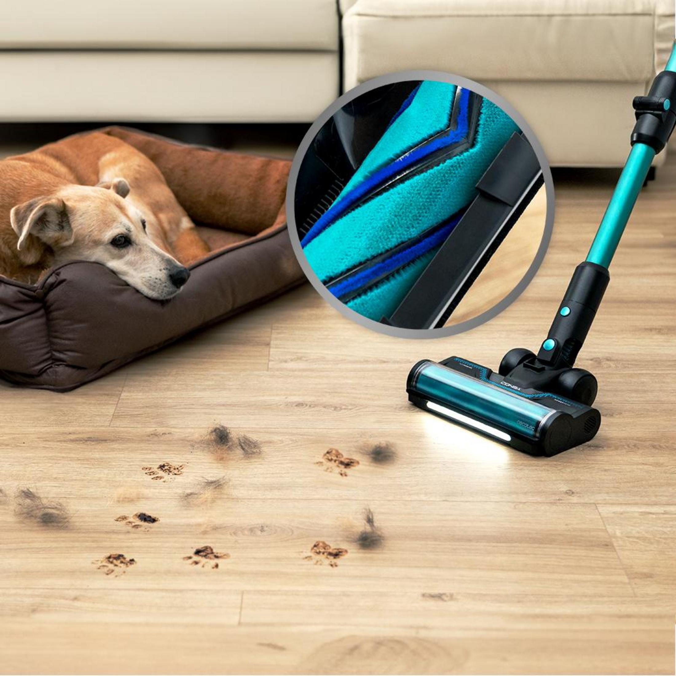 Un cane riposa nella sua cuccia, vicino c'è un aspirapolvere con spazzola.