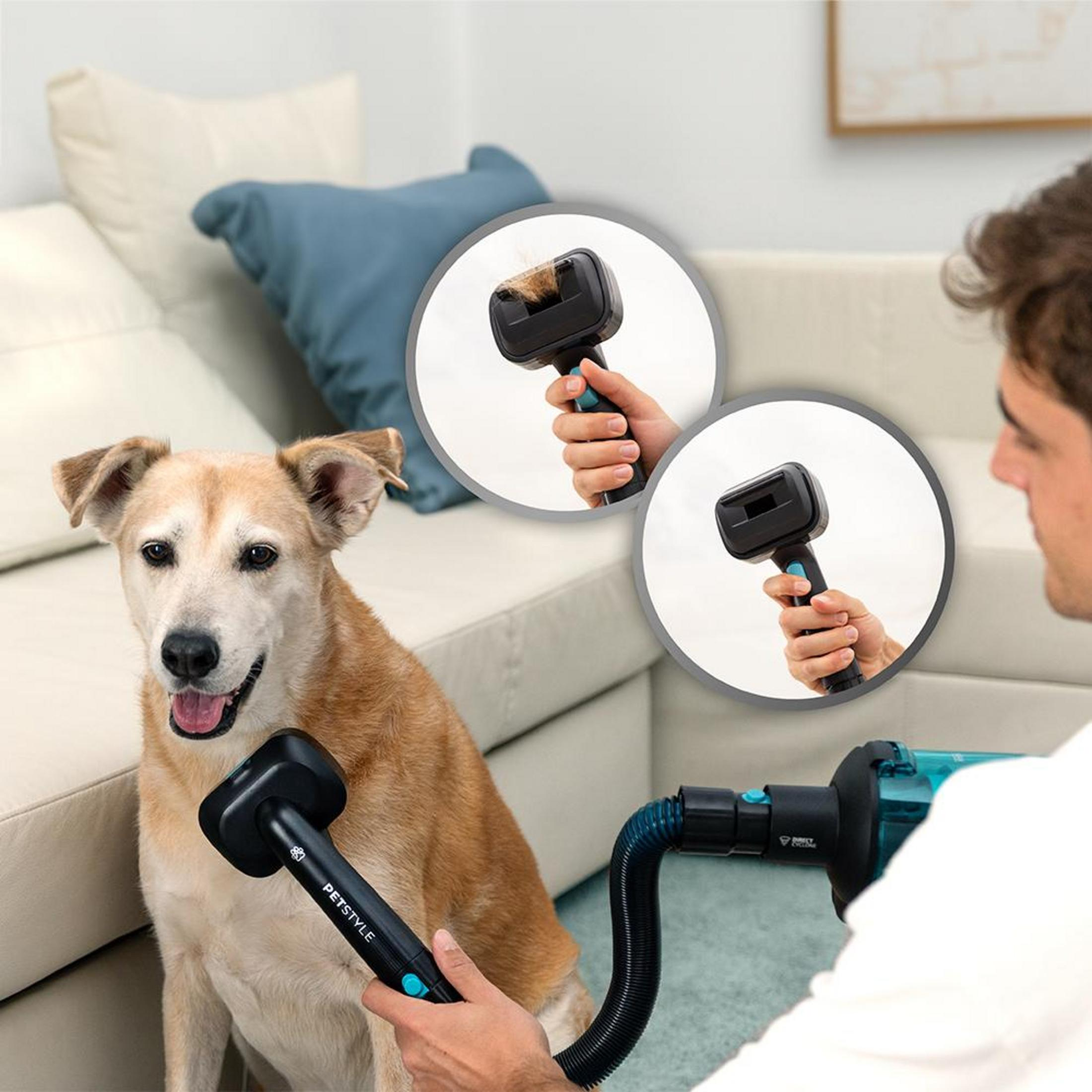 Uomo lava cane con asciugatore per animali su divano.