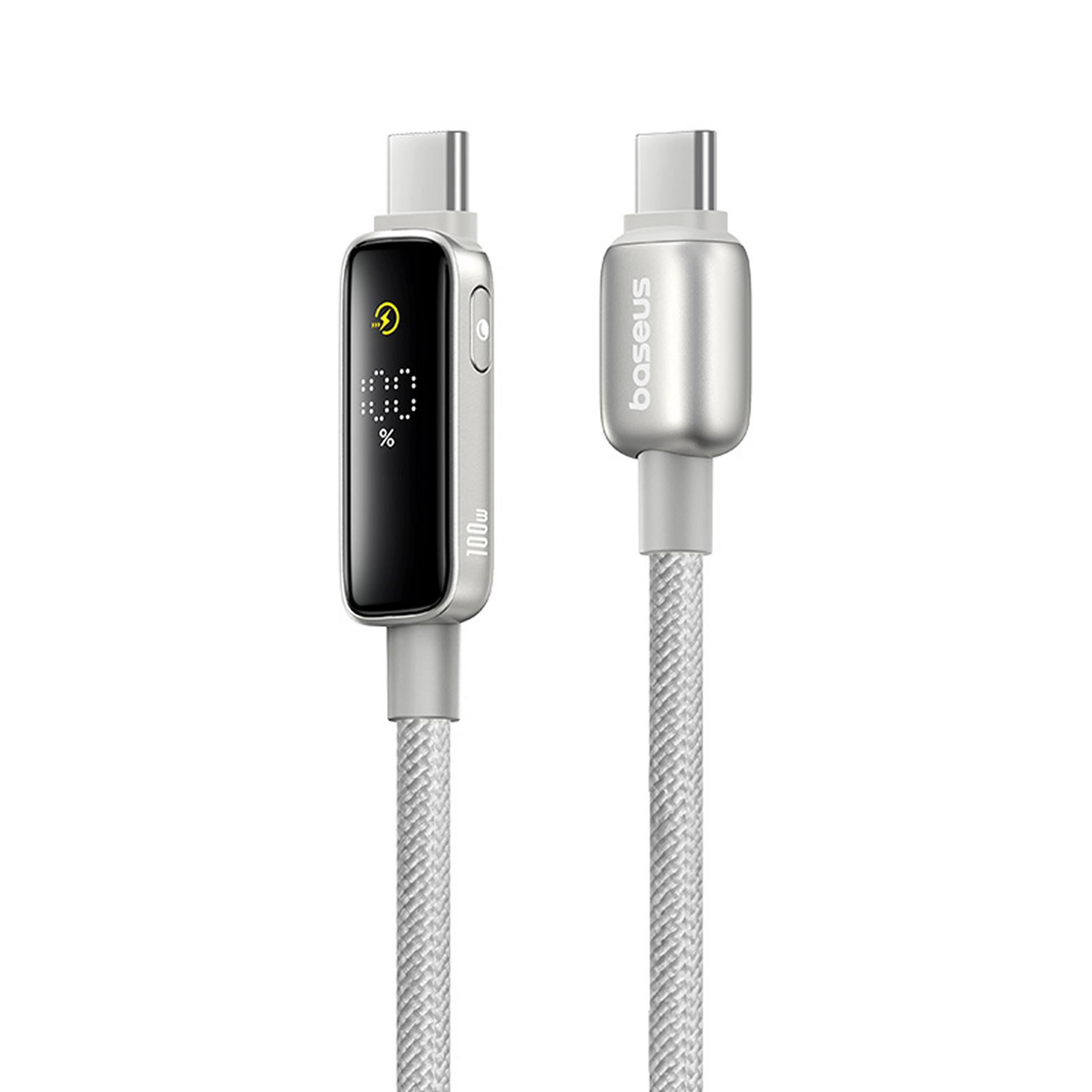 Dos cables USB-C plateados uno al lado del otro. Uno con pantalla muestra 100W e ícono de carga.