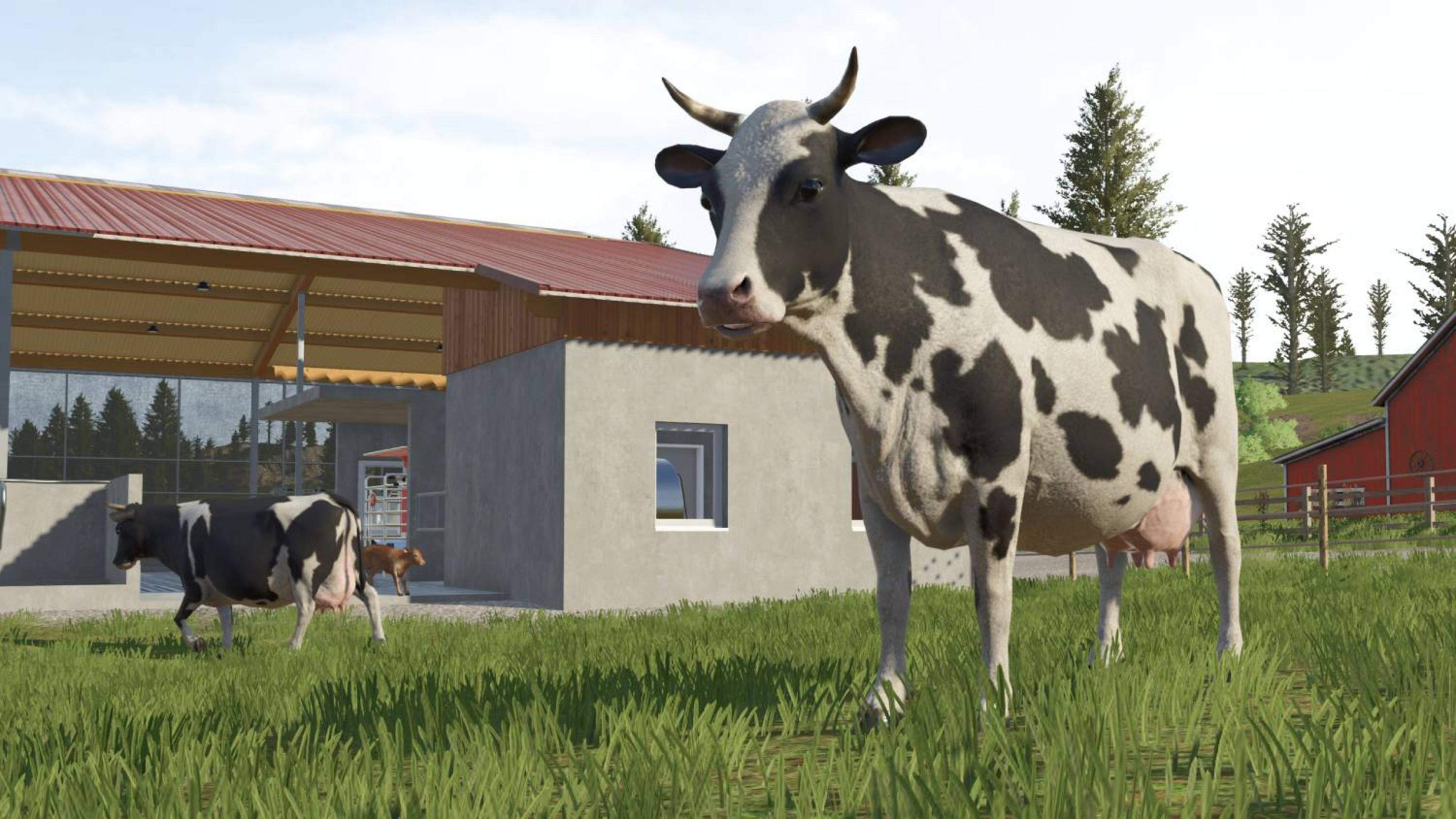 Una mucca bianca e nera su erba verde davanti a un edificio, altra mucca e vitello sullo sfondo.