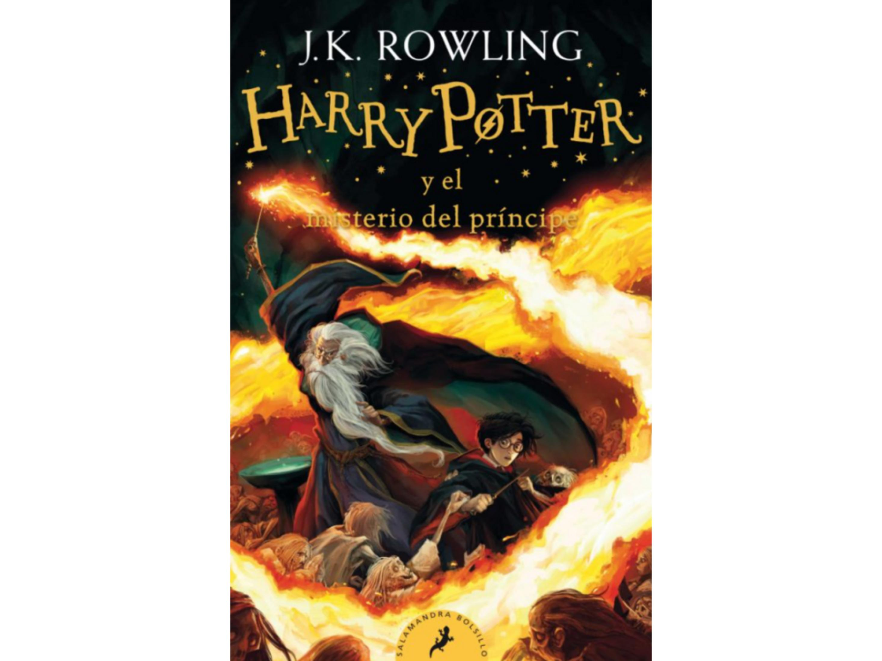 Harry Potter con varita, Dumbledore y cadáveres en fuego.