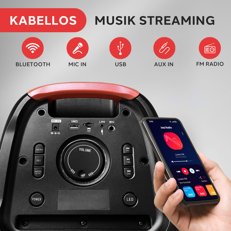 Lautsprecher mit Smartphone-Steuerung. Funktionen: Bluetooth, Mikrofon, USB, AUX, Radio.