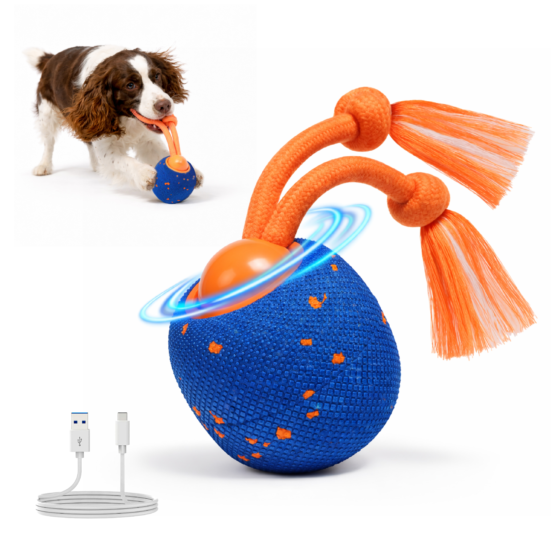 Un perro marrón y blanco juega con un juguete azul con cuerdas naranjas.
