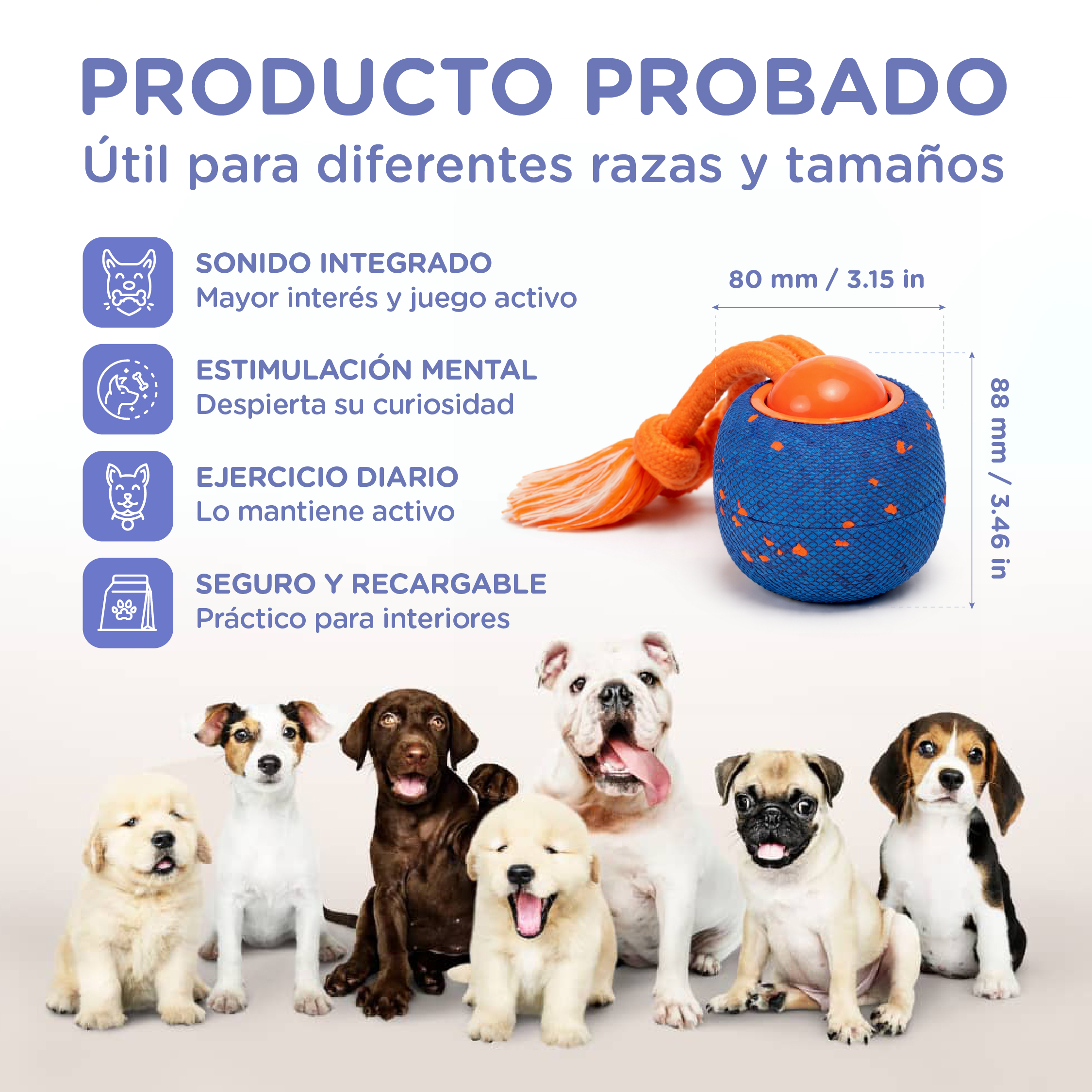 Varias razas y tamaños de perros posan junto a un juguete azul.