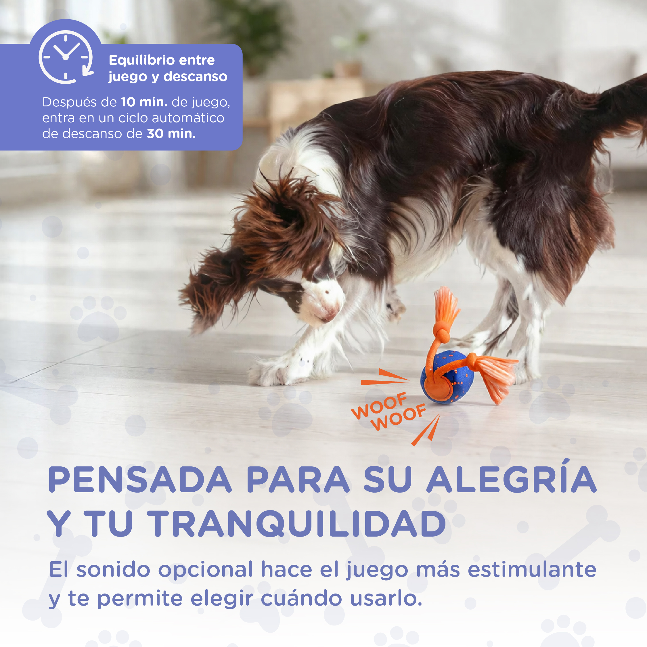 Un perro juega con un juguete de pelota azul con cuerdas naranjas.