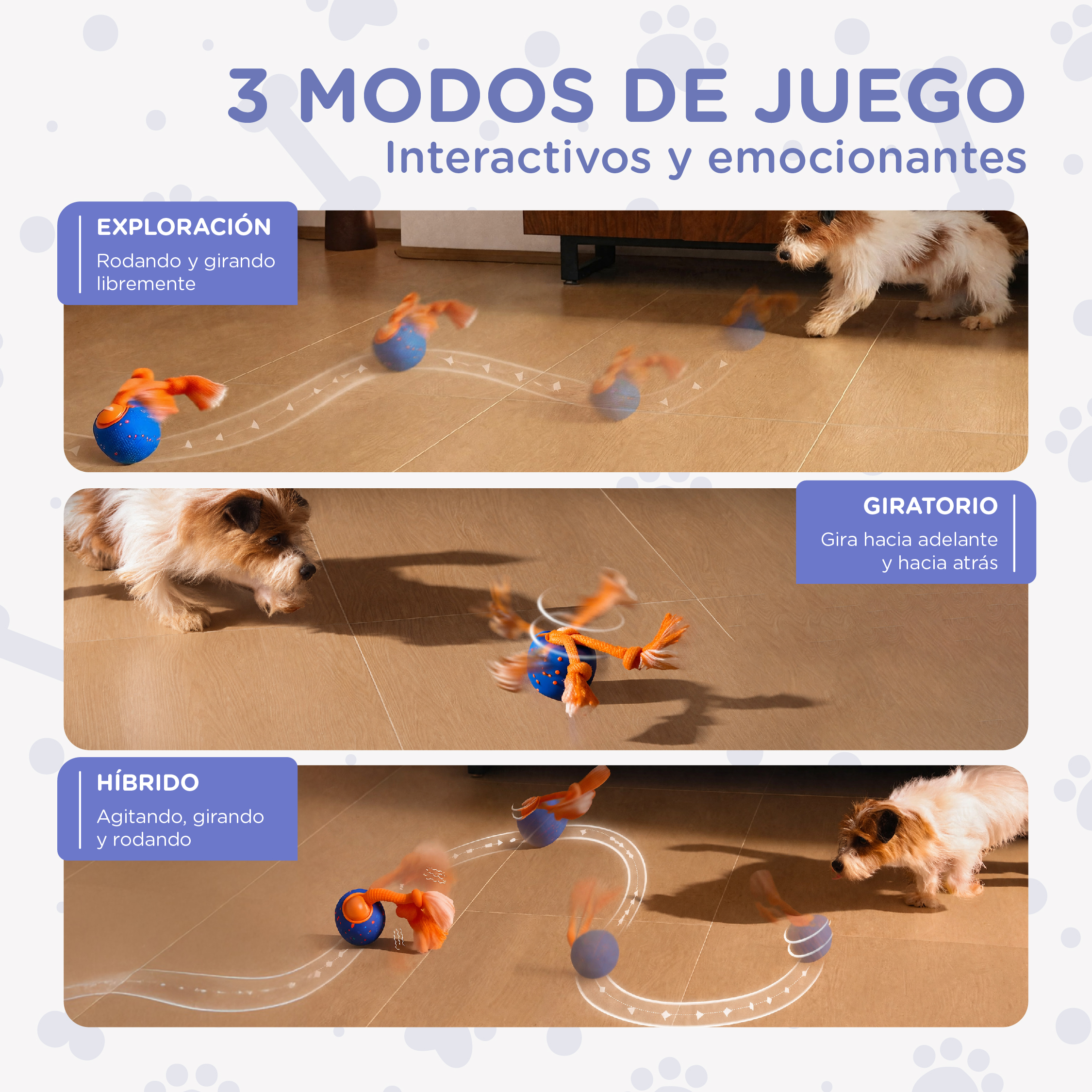 Un perro juega con una pelota de juguete en el suelo. Se muestran tres modos de juego.