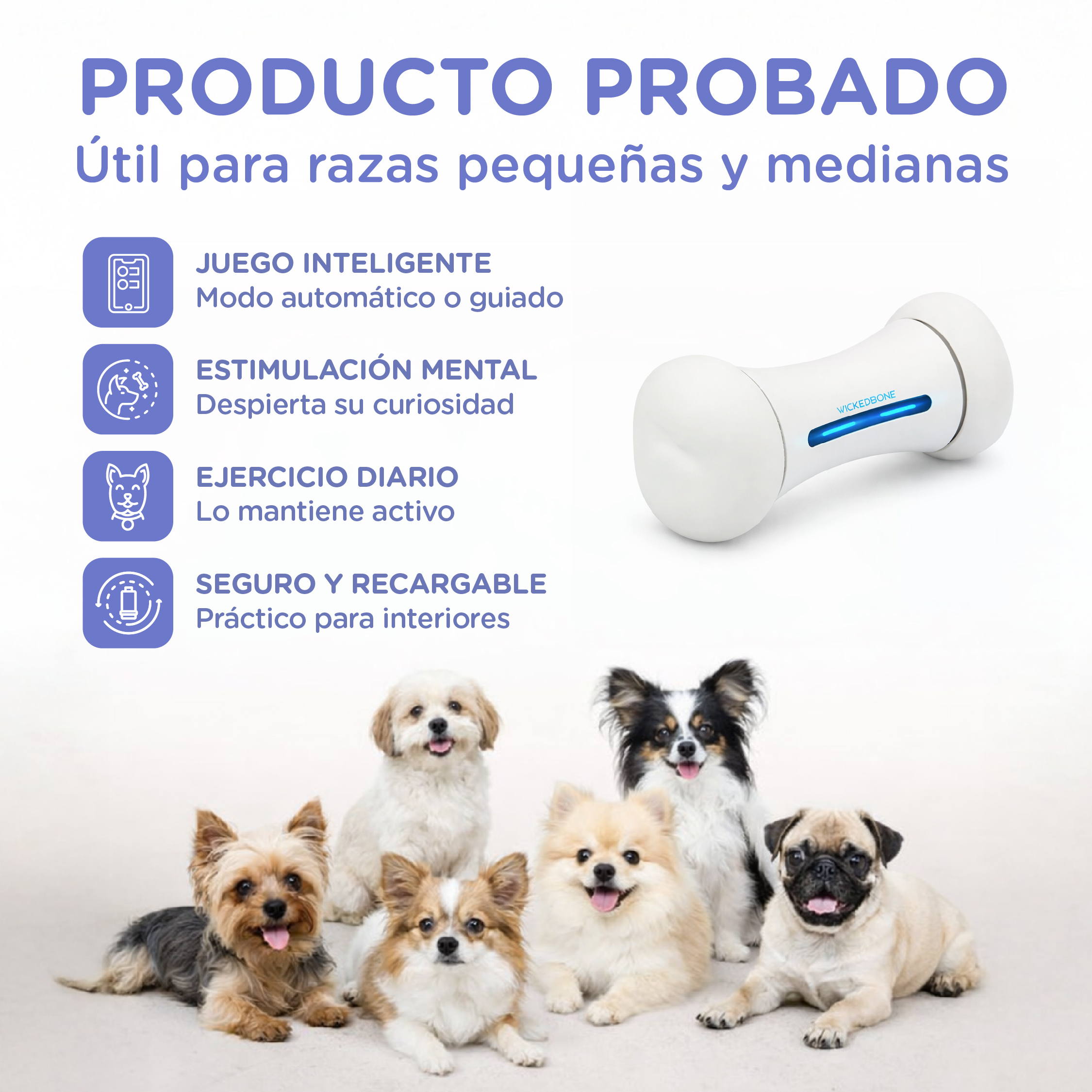 Un juguete blanco para perros con luces azules y seis perros.