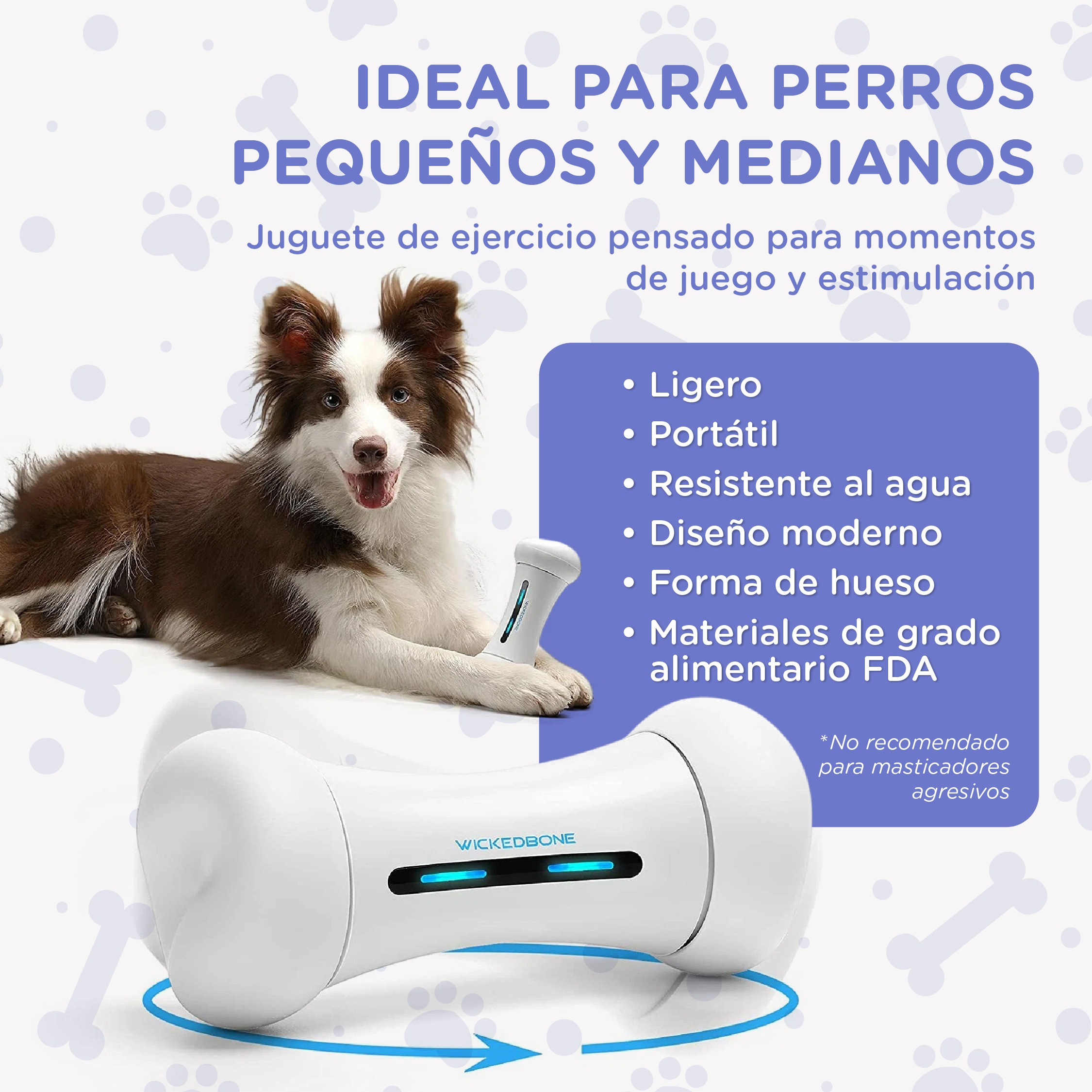 Un border collie yace junto a un juguete blanco con forma de hueso.