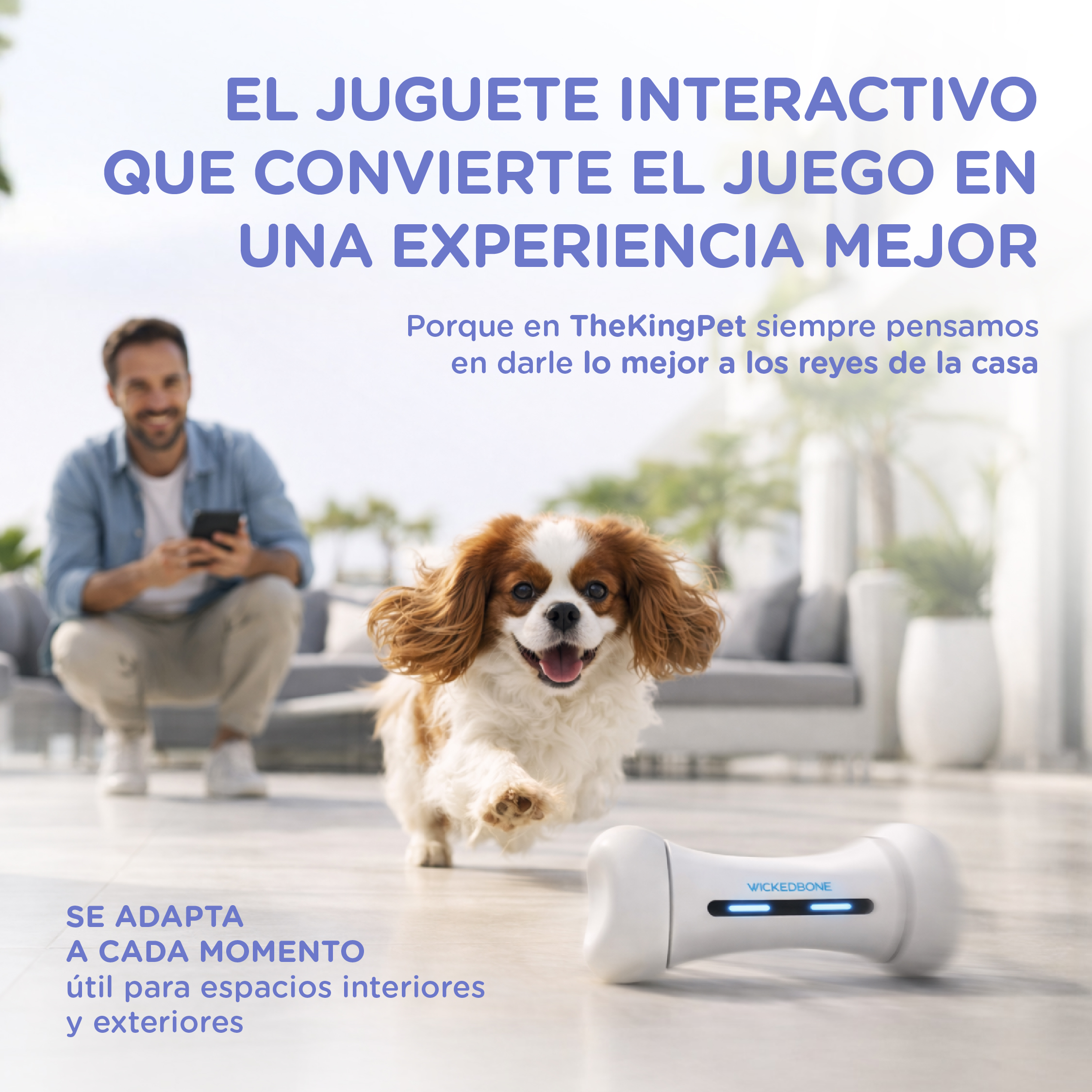 Un hombre mira su teléfono mientras un perro juega con un juguete de hueso.