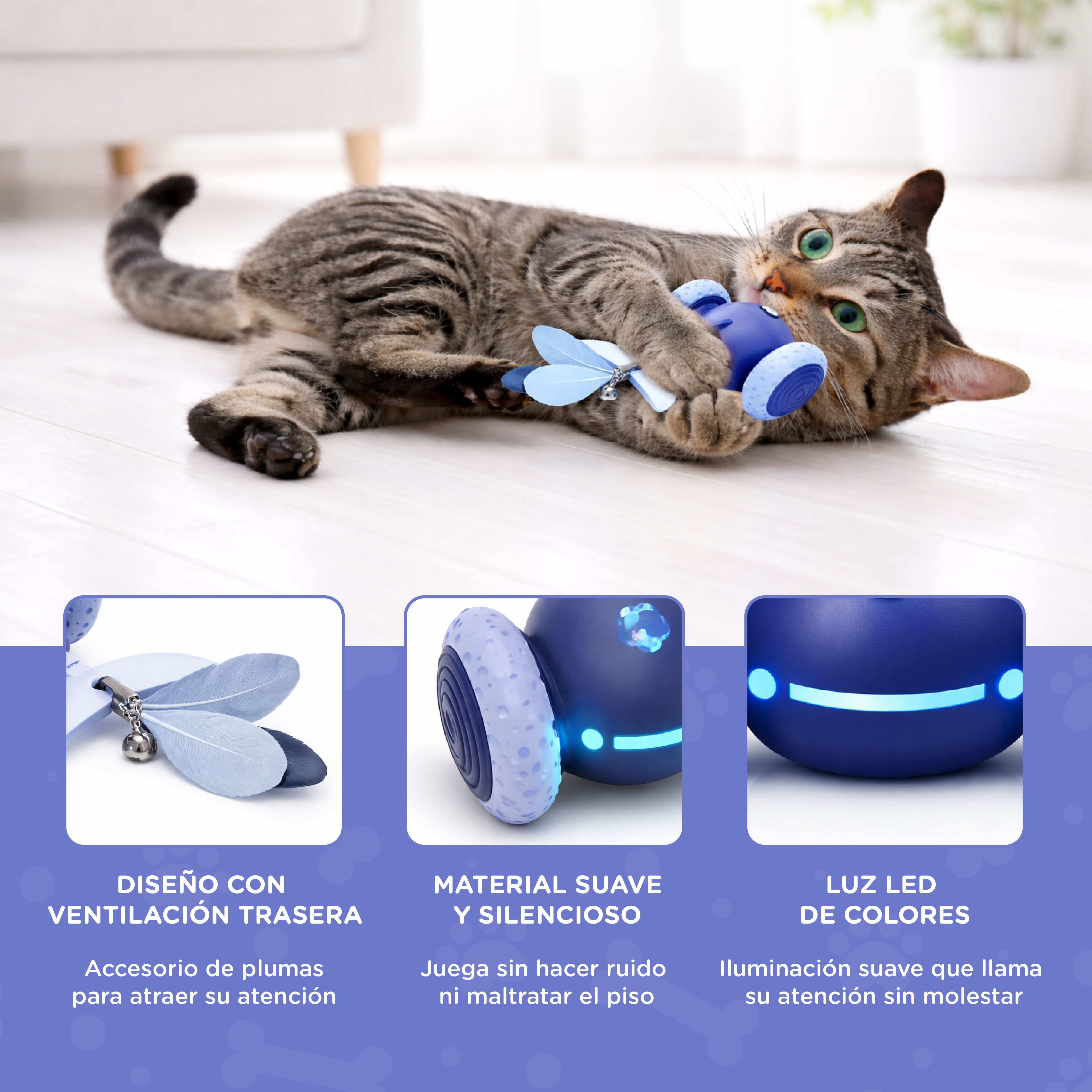 Un gato atigrado juega con un juguete azul sobre un suelo de madera claro.