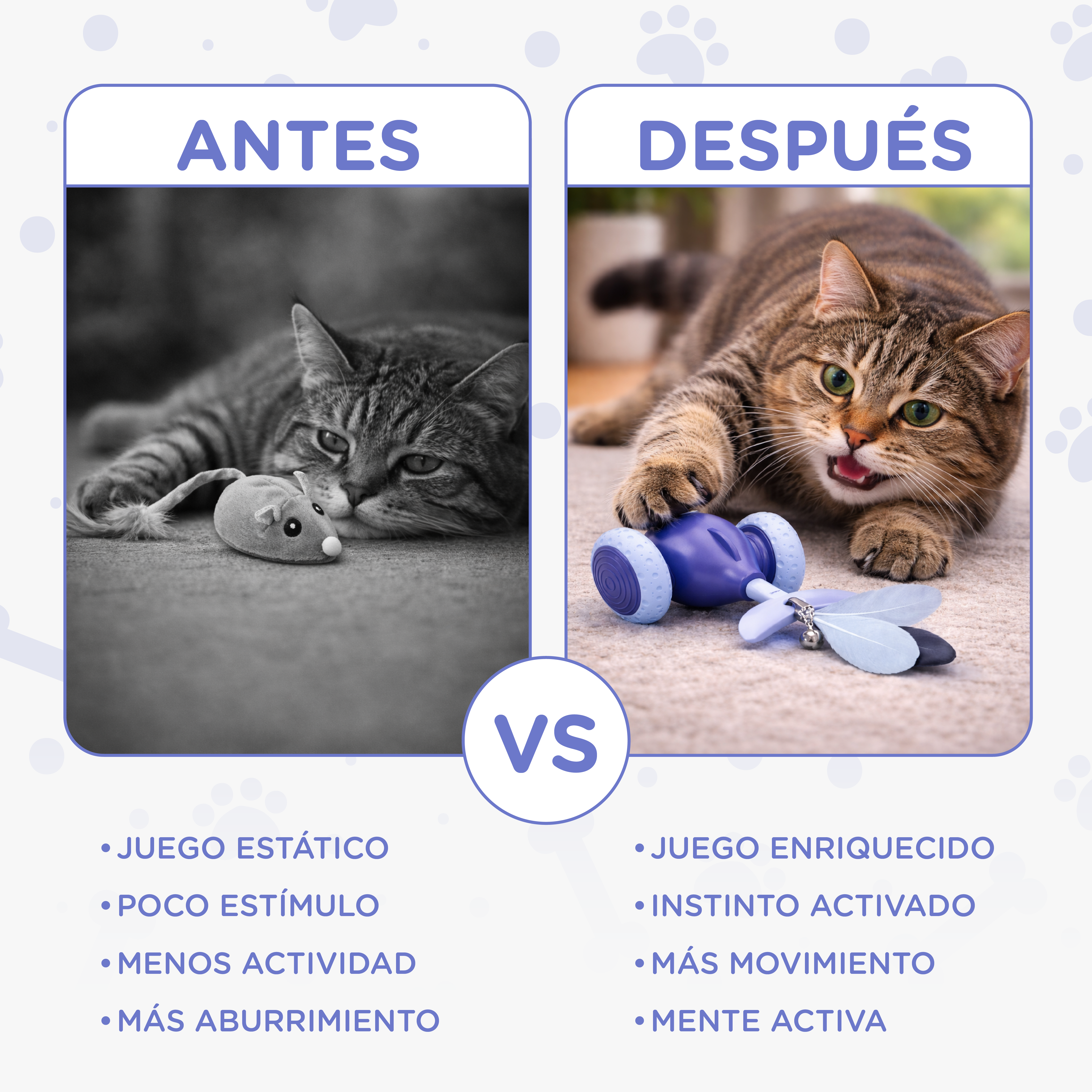 Antes y después: Gato con juguete, uno apático, otro juguetón y activo.