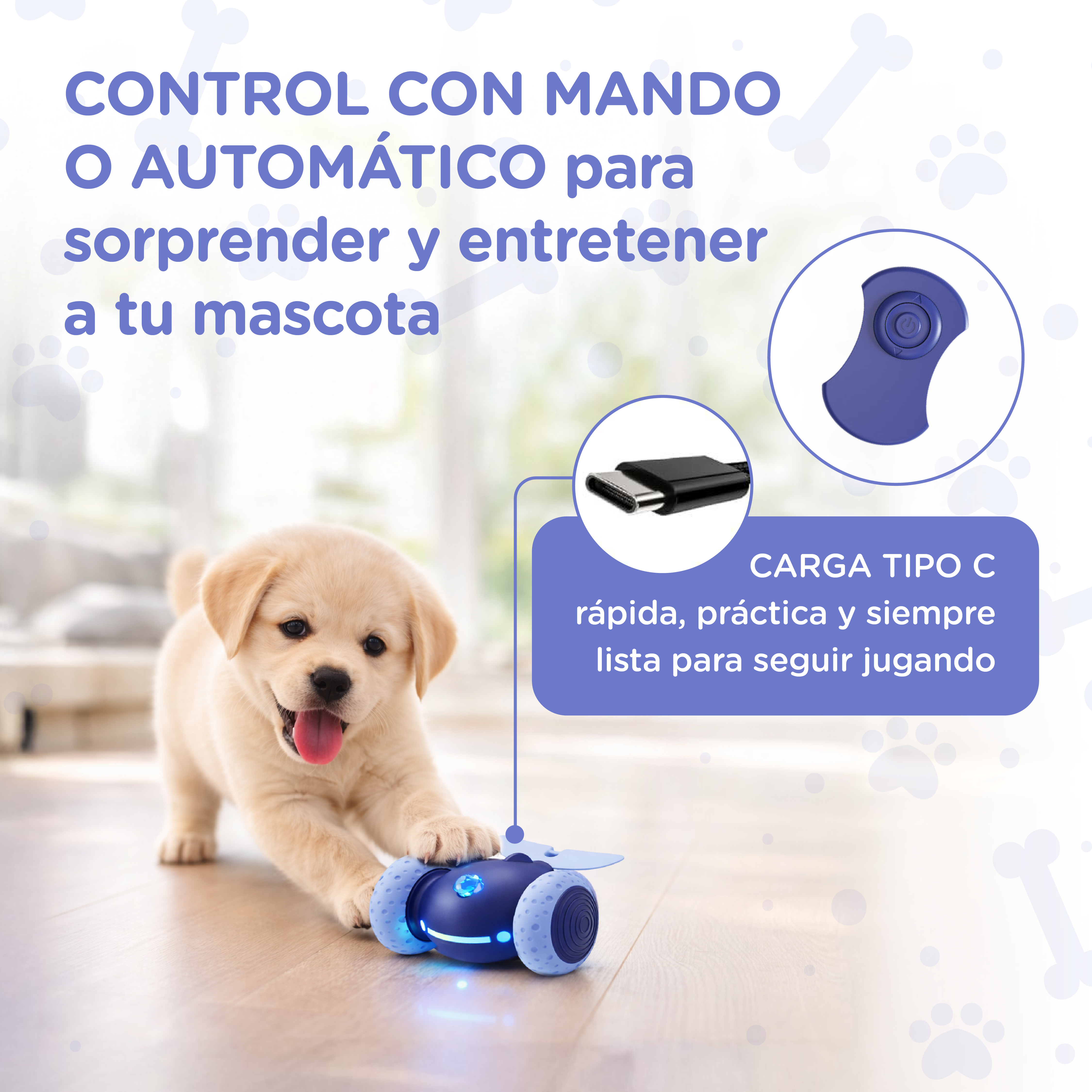 Un cachorro lindo juega con un coche de juguete azul que se carga por USB-C.