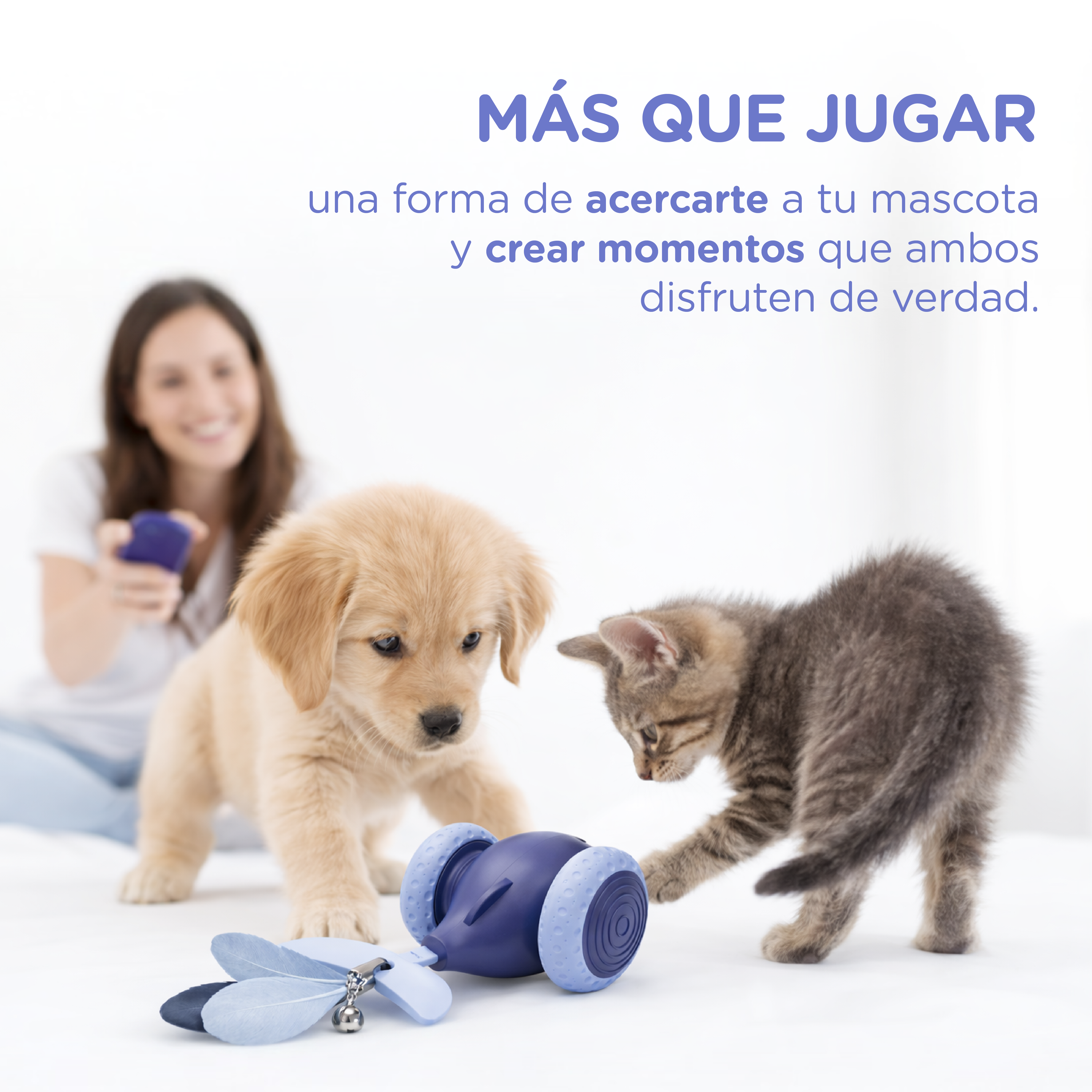 Un cachorro y un gatito juegan con un juguete azul. Una mujer está borrosa al fondo.