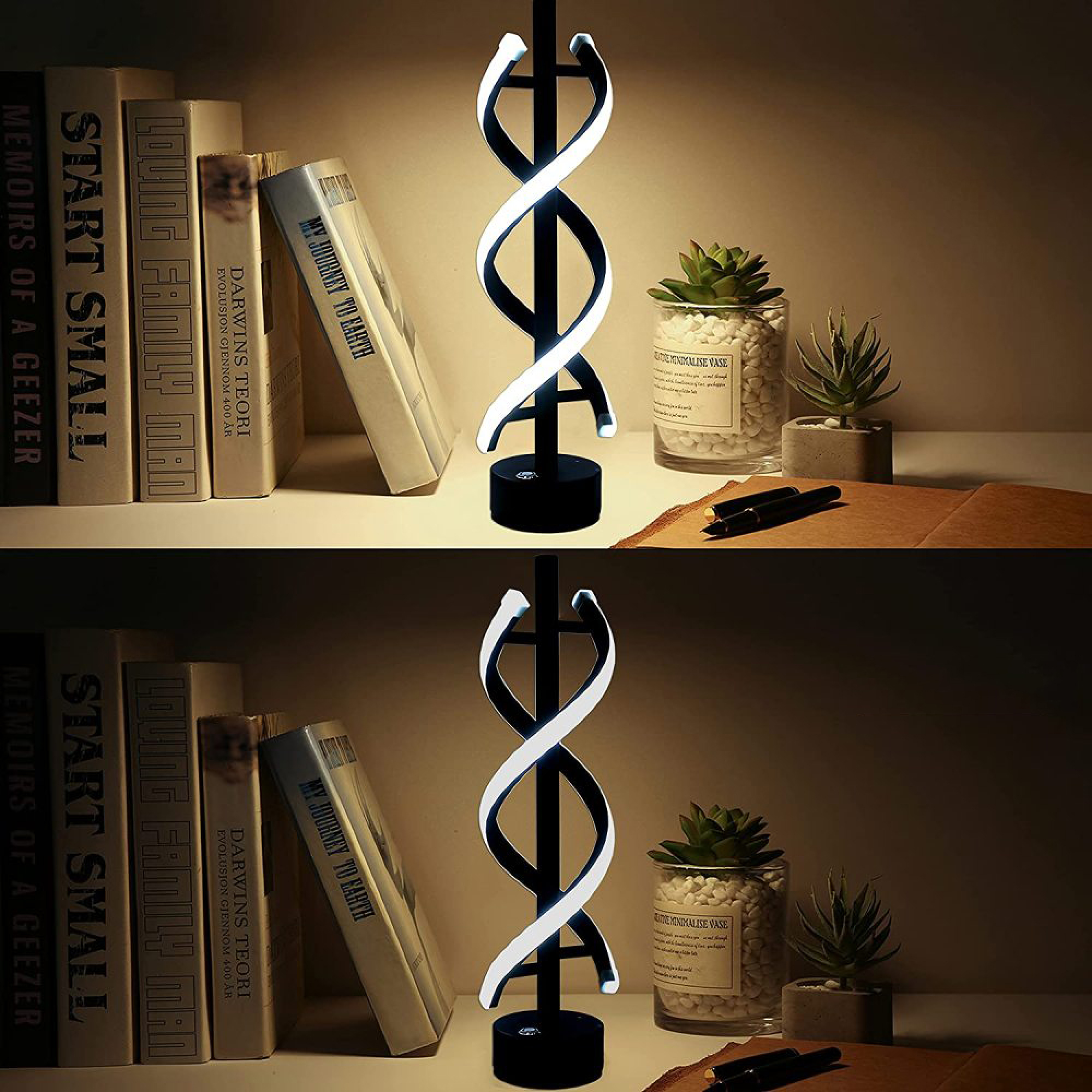 Eine DNA-förmige Lampe steht auf einem Regal neben Büchern und Pflanzen.