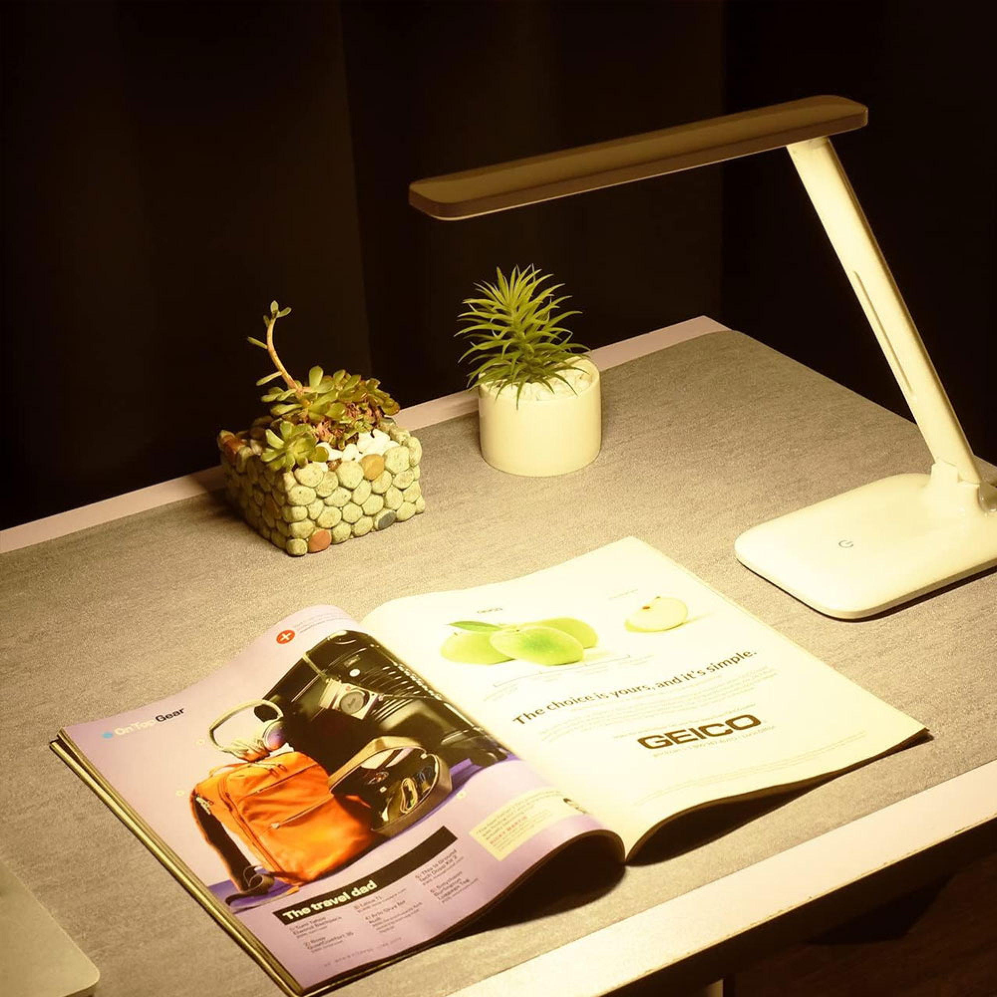 Ein Schreibtisch mit einer Lampe, zwei Pflanzen und einer offenen Zeitschrift.