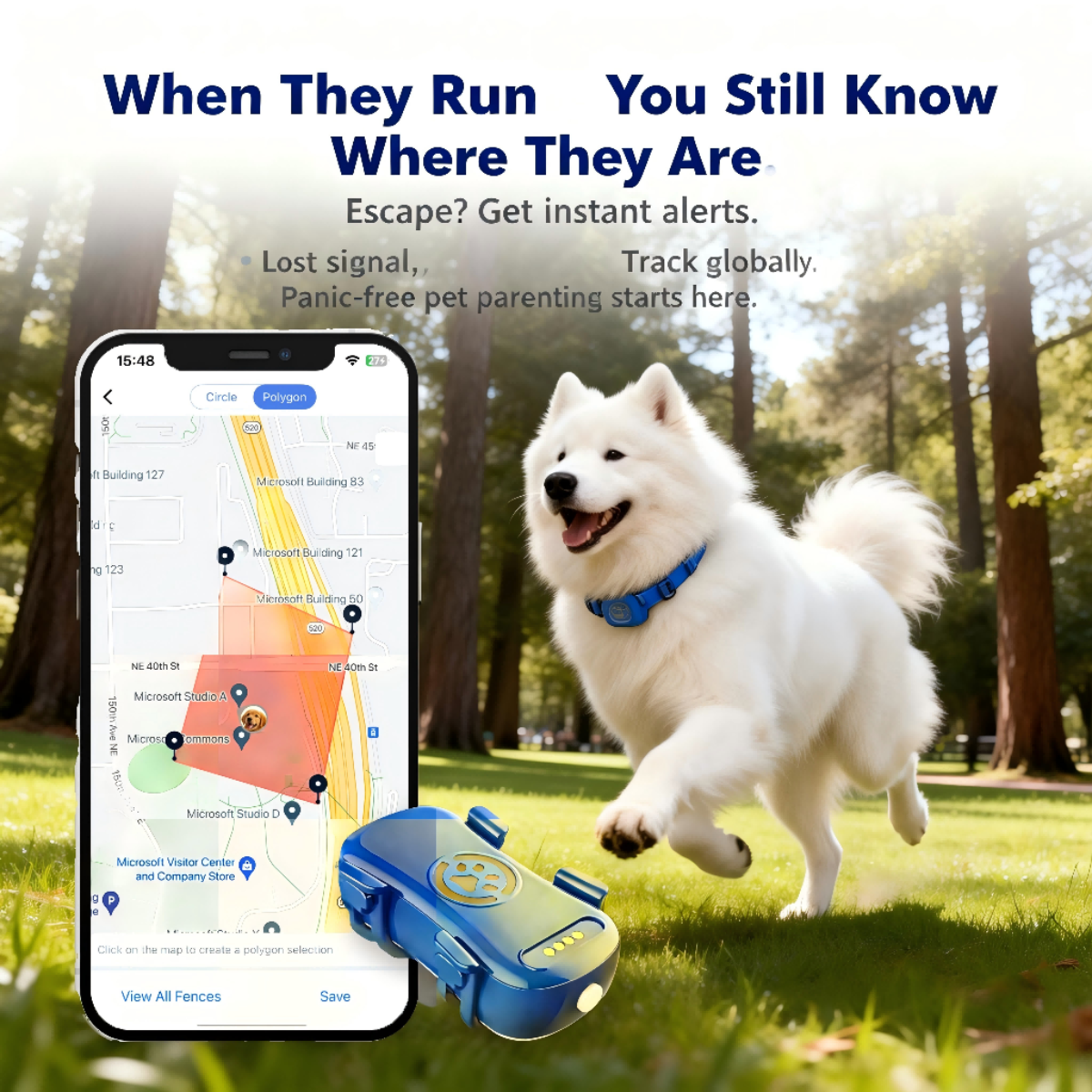 Ein weißer Samojede rennt auf einer Wiese, daneben ein GPS-Tracker und eine Handy-Karte.