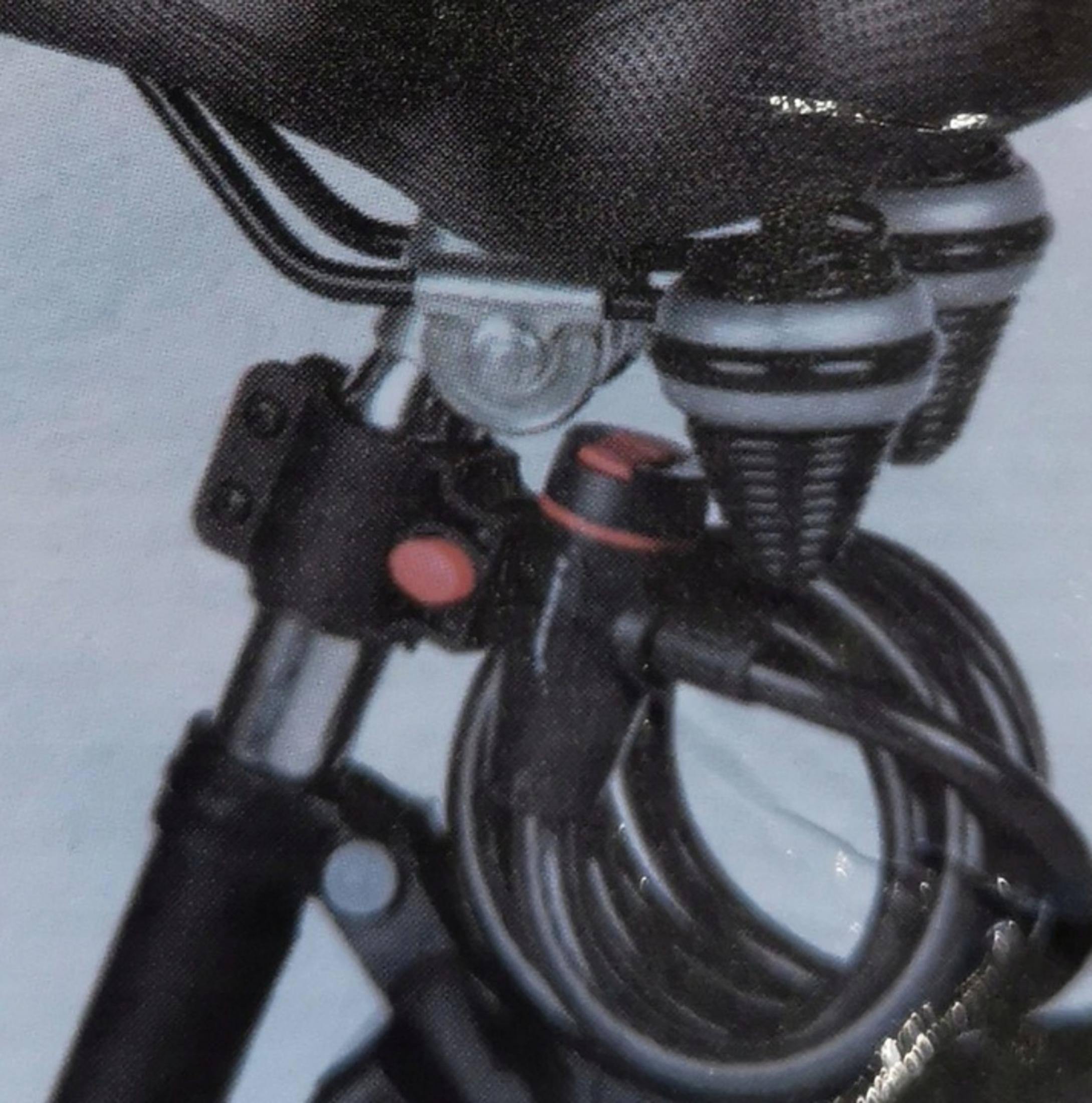 Nahaufnahme eines Fahrradschlosses mit schwarzem Kabel und roten Knöpfen.