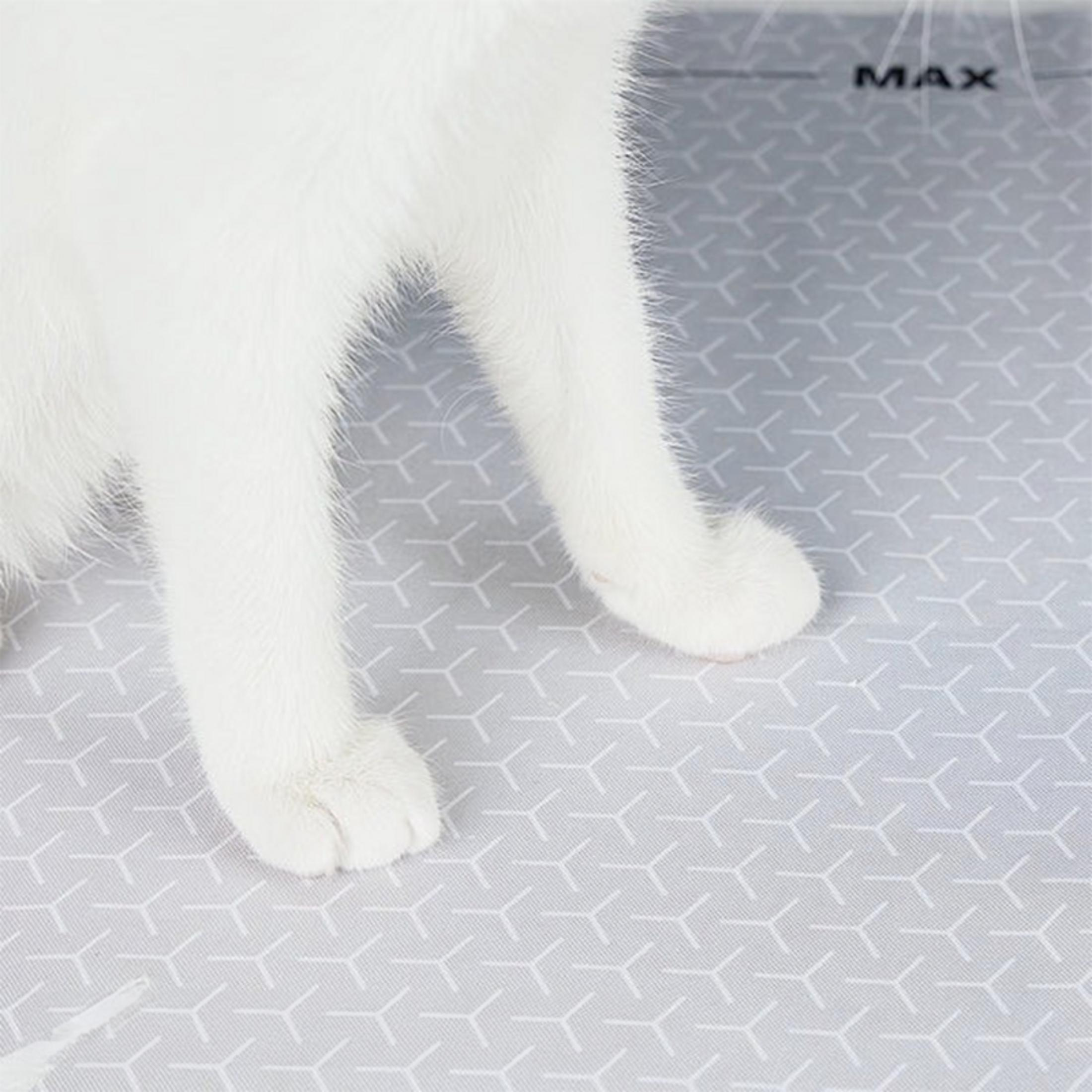 Zampe di gatto bianche su superficie grigia a motivi. La parola MAX è visibile.