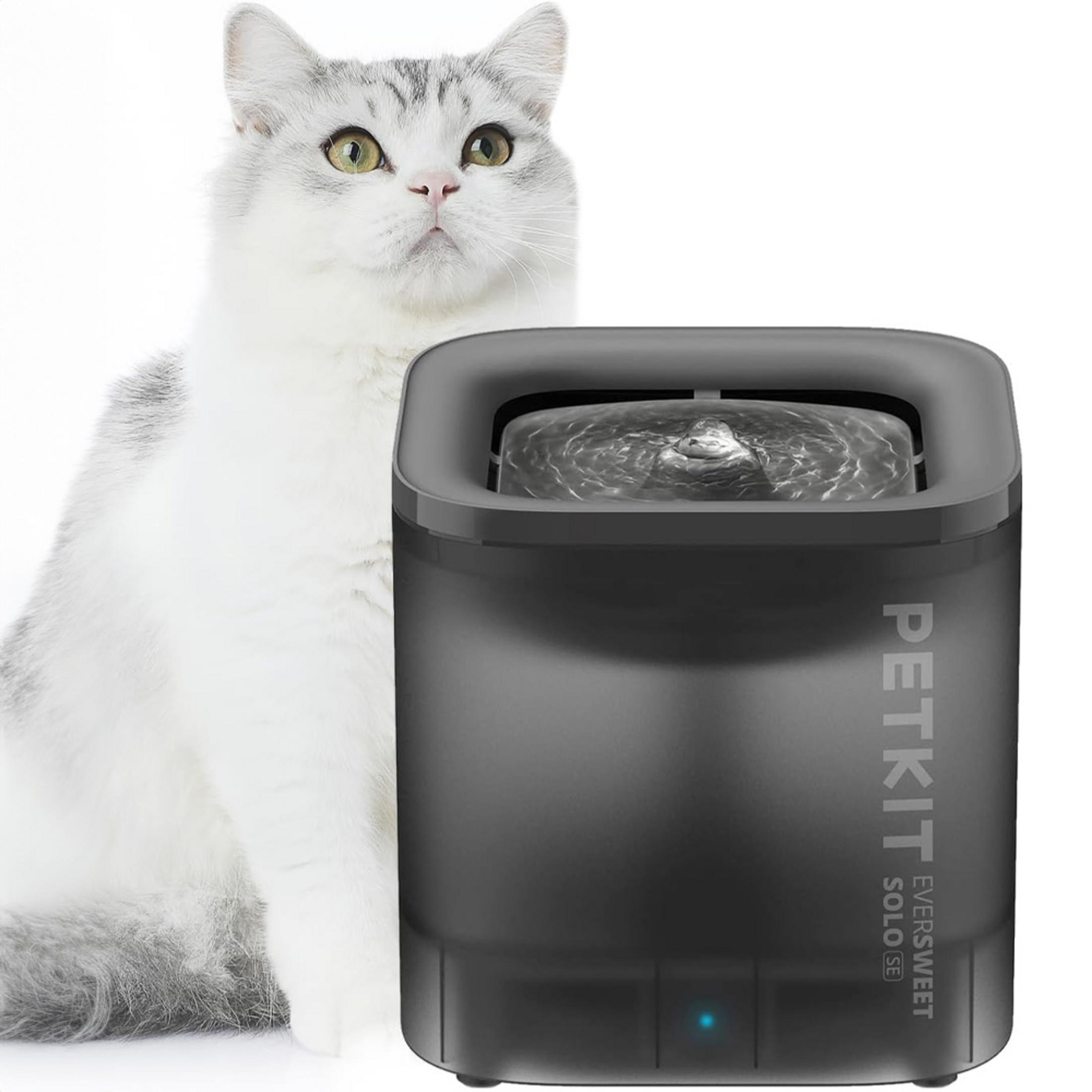 Eine weiß-graue Katze sitzt neben einem schwarzen PETKIT-Wasserspender mit fließendem Wasser.