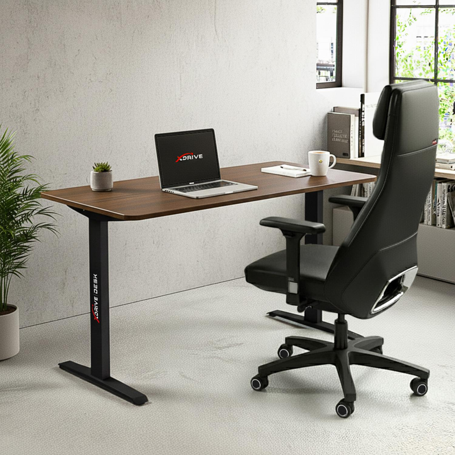 Modern bir ofis ortamında dizüstü bilgisayar, sandalye, bitki ve kitaplı bir masa.