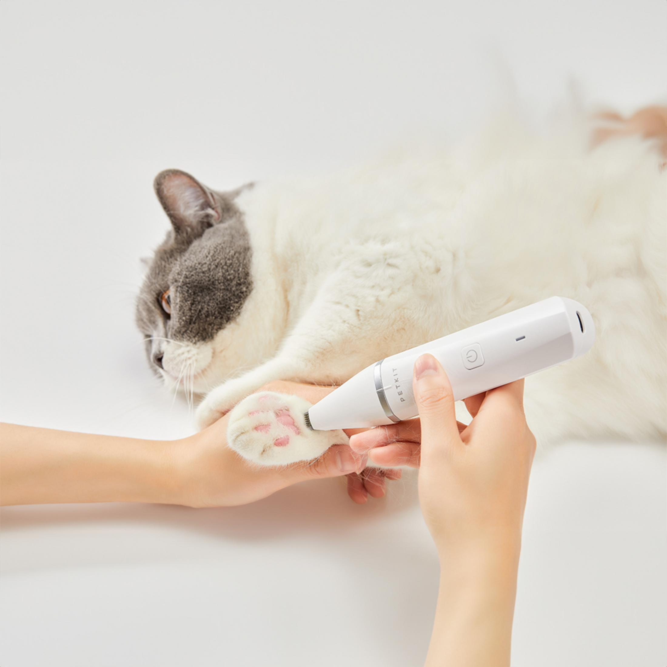 Una mano tiene un gatto mentre un'altra usa una lima per unghie sulla zampa.