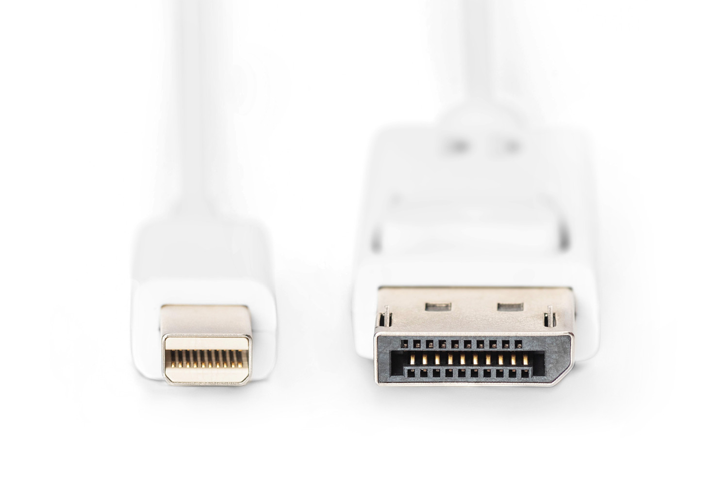 Primo piano di due connettori di cavo bianchi, un DisplayPort e un Mini DisplayPort.