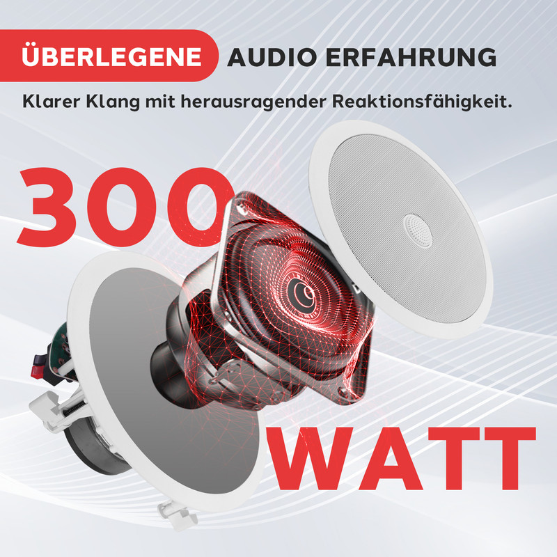 Ein 300 Watt Lautsprecher mit roter Drahtgitter-Visualisierung.