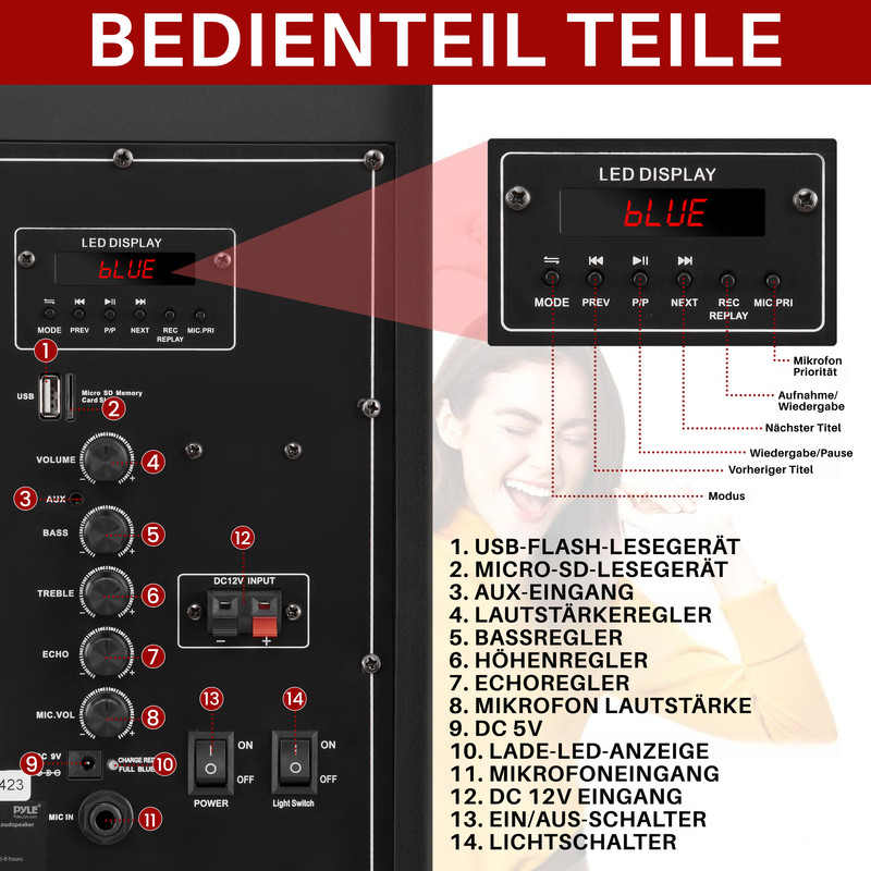 Bedienfeld eines Lautsprechers mit verschiedenen Anschlüssen und Reglern, beschriftet.