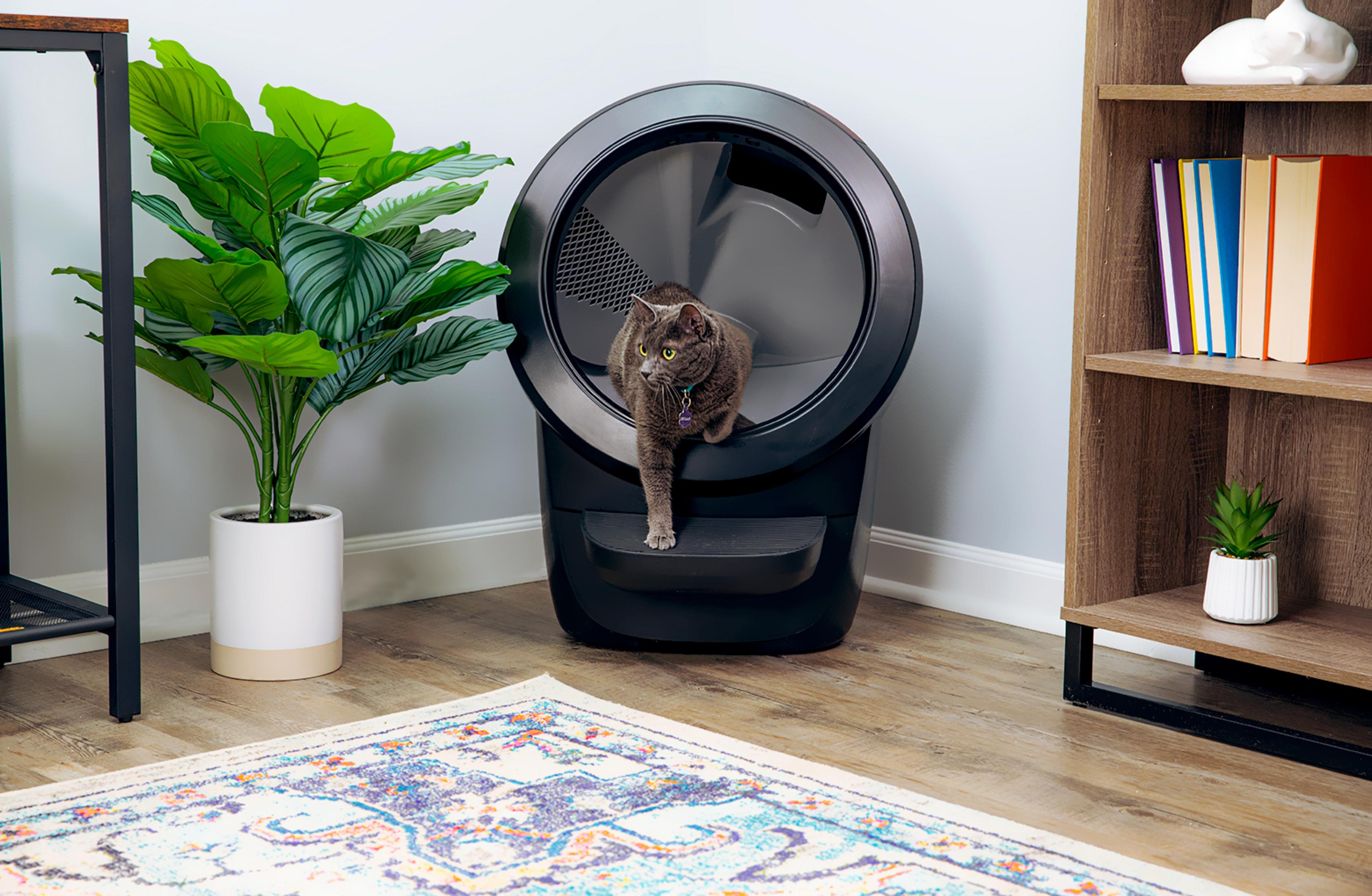 Un gato gris sale de una caja de arena automática junto a una planta y una estantería.