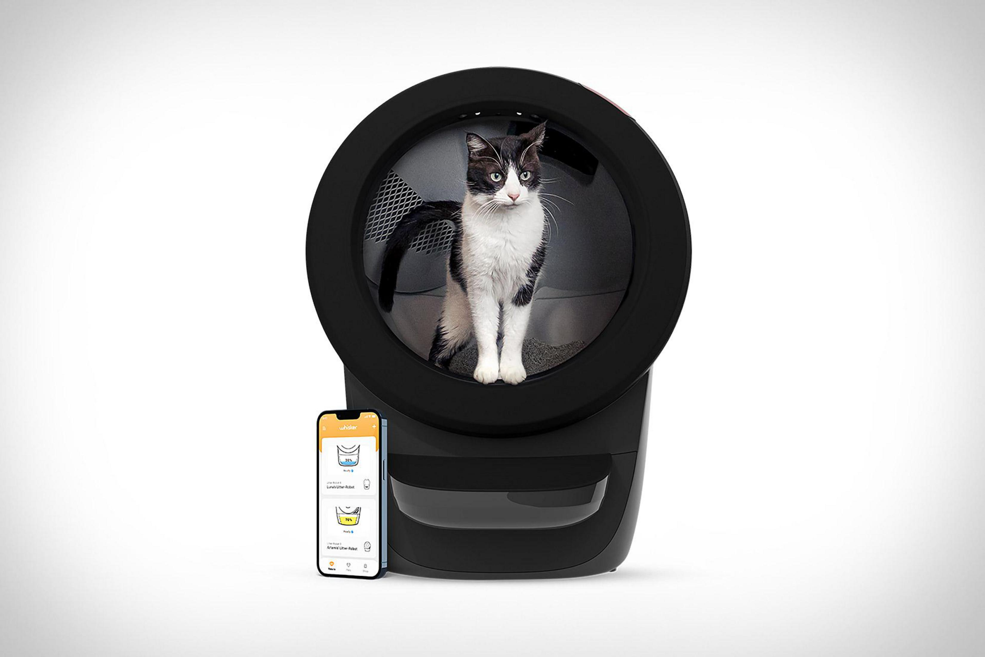 Un gato está dentro de una caja de arena autolimpiable junto a un smartphone.