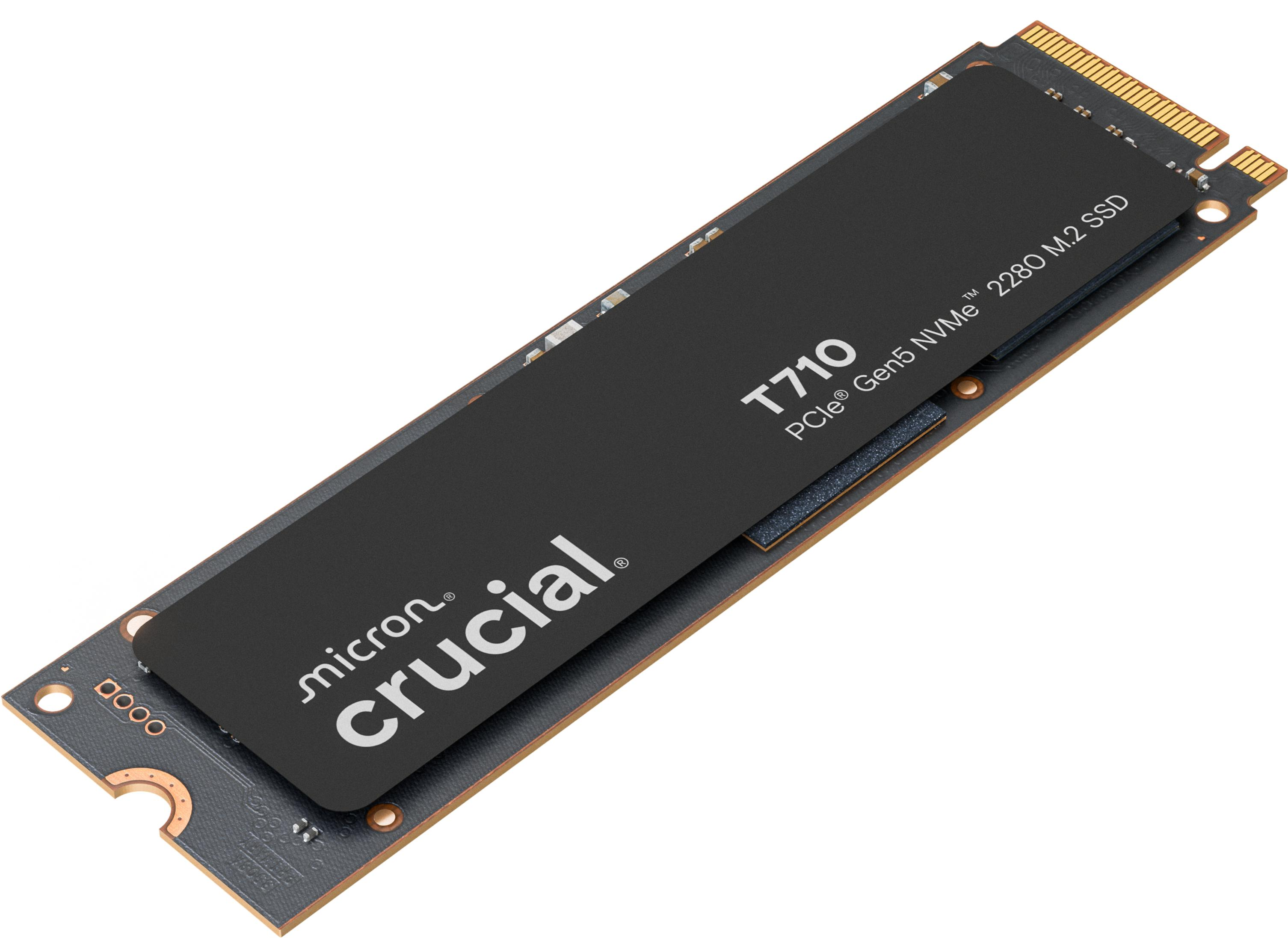 SSD M.2 nero con scritte argentate e connettori dorati su sfondo bianco.