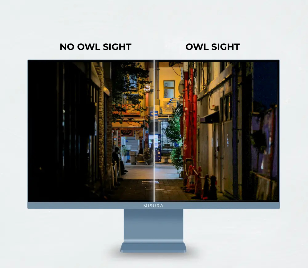 Pantalla dividida de calle nocturna: izquierda oscura, derecha brillante "Owl Sight".