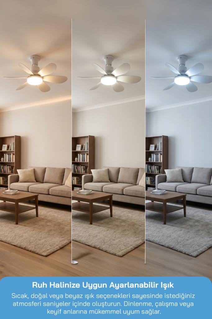 Sofa ve kitaplıklı oturma odası üzerinde üç ışık renginde tavan vantilatörü.