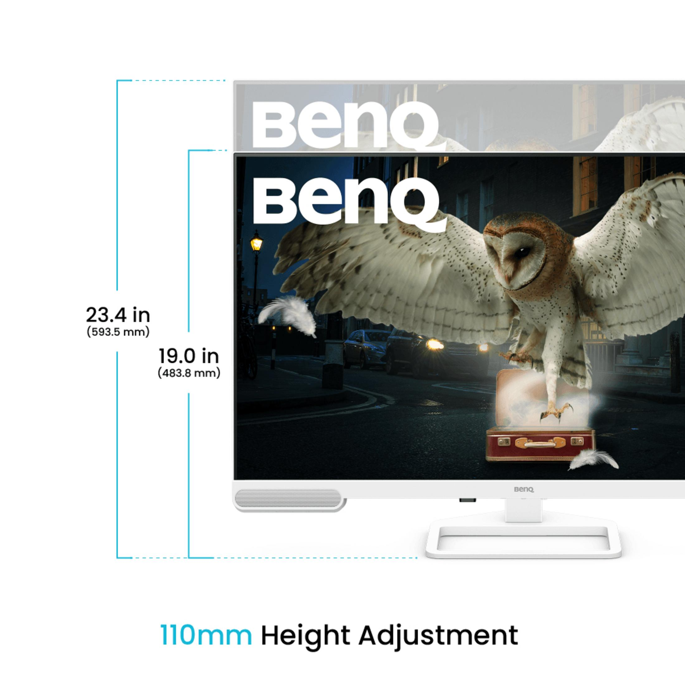 Ein BenQ-Monitor zeigt eine Eule auf einem Koffer in einer Stadt bei Nacht.