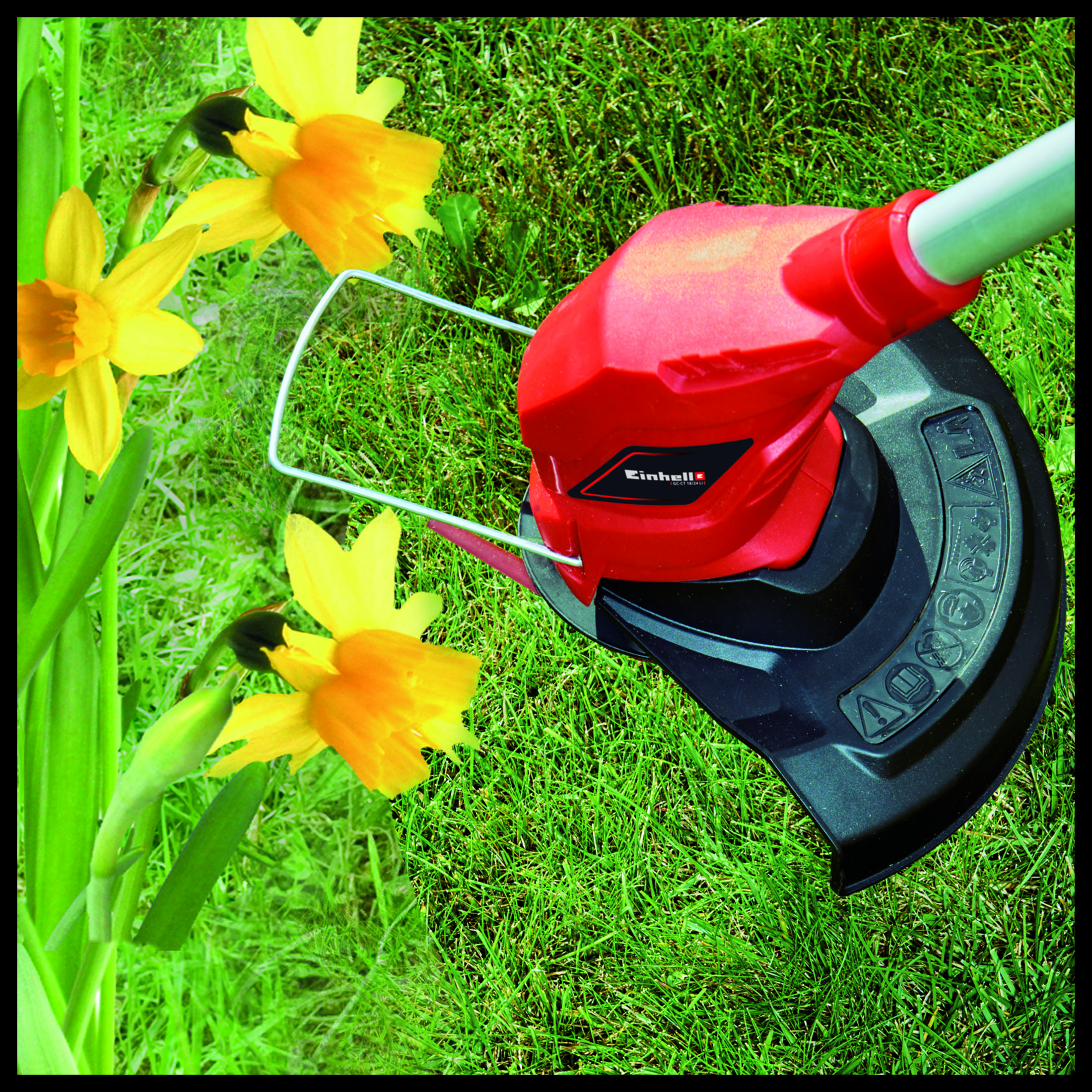 Ein roter Rasentrimmerkopf mit gelben Narzissen auf grünem Gras.