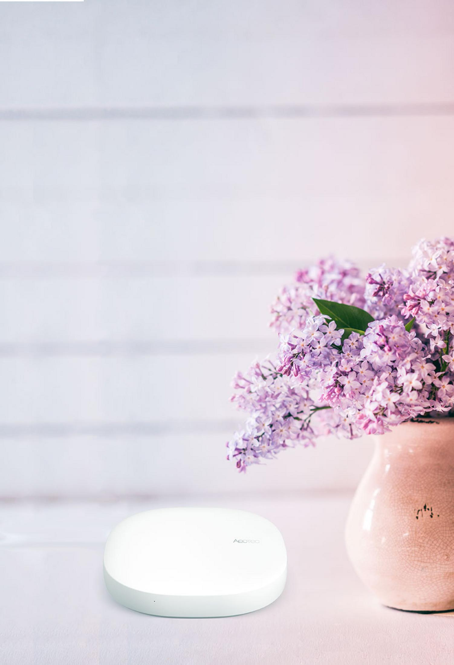 Ein weißer Router steht neben einer rosa Vase mit lila Flieder vor weißem Holzhintergrund.