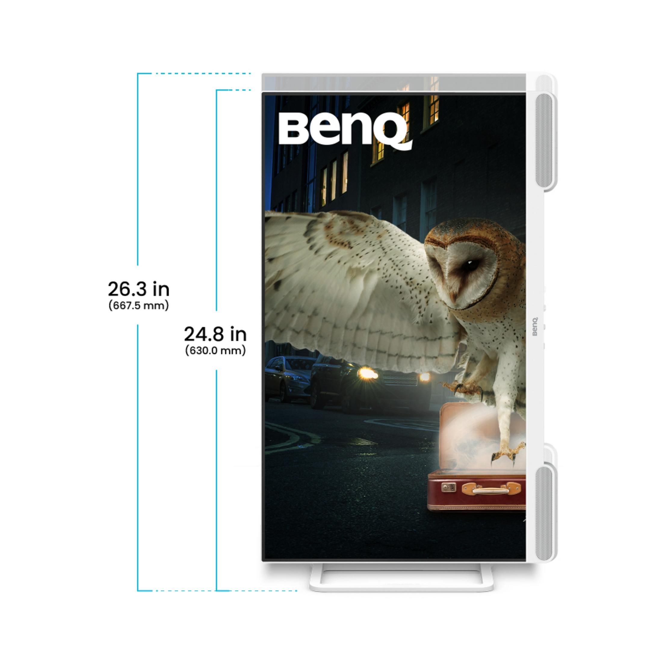BenQ-Monitor zeigt eine Eule auf einem Koffer vor Autos und Gebäuden.