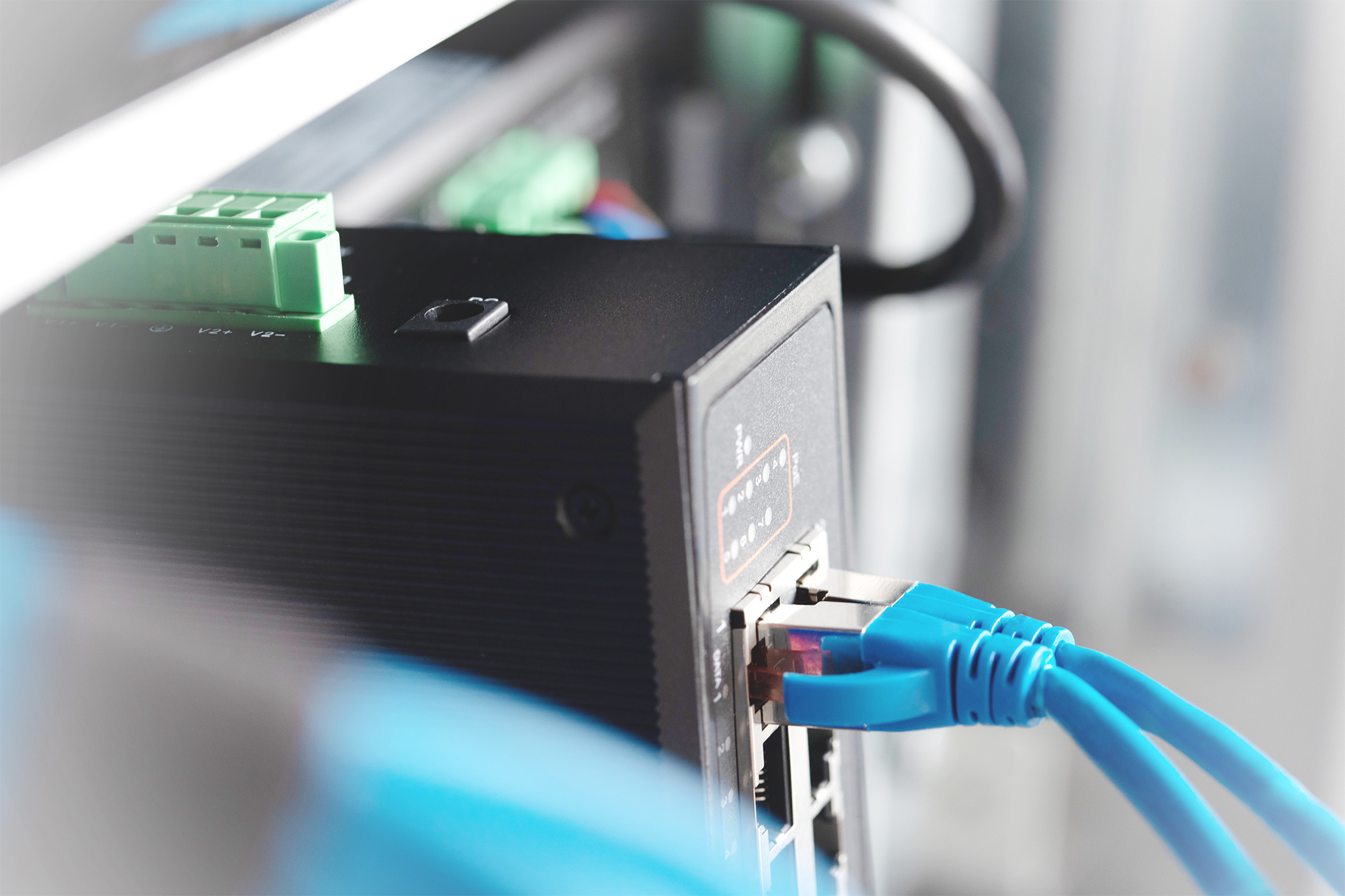 Due cavi Ethernet blu inseriti in un dispositivo di rete nero con morsetti verdi.