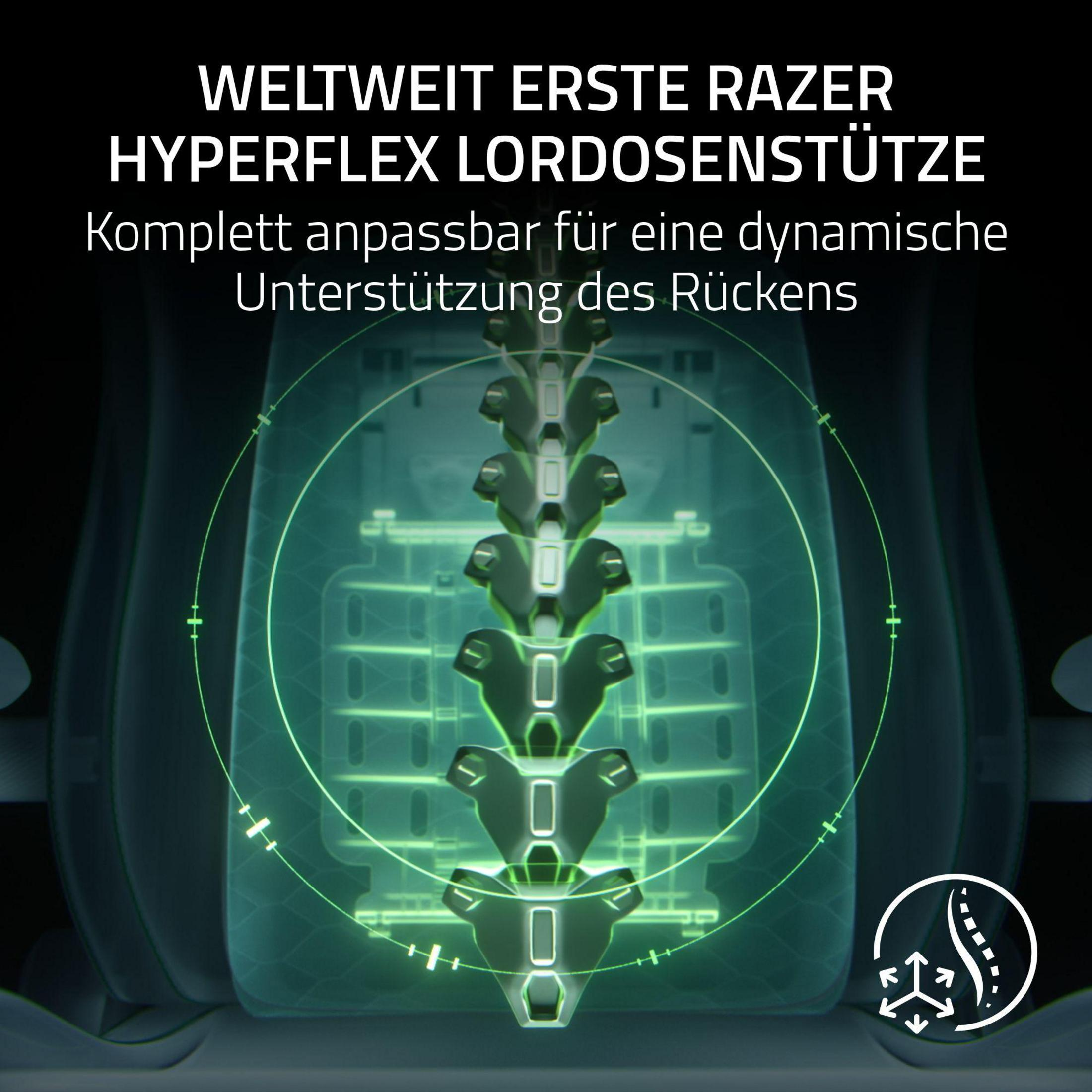 3D-Darstellung der Wirbelsäule mit grünen Grafiken und Text.
